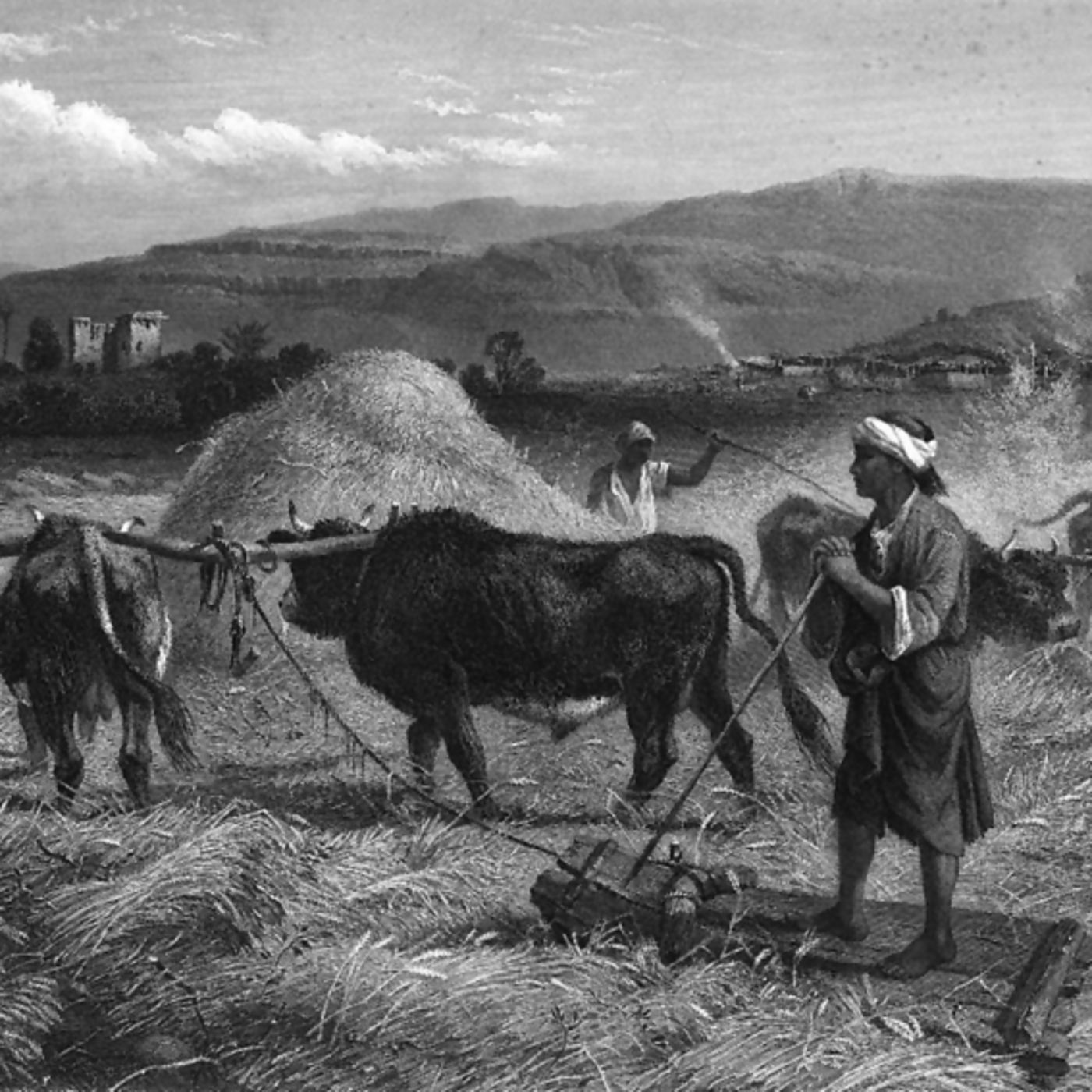 Episode 14: The Threshing Floor Separation ~ pt 2 episode artwork