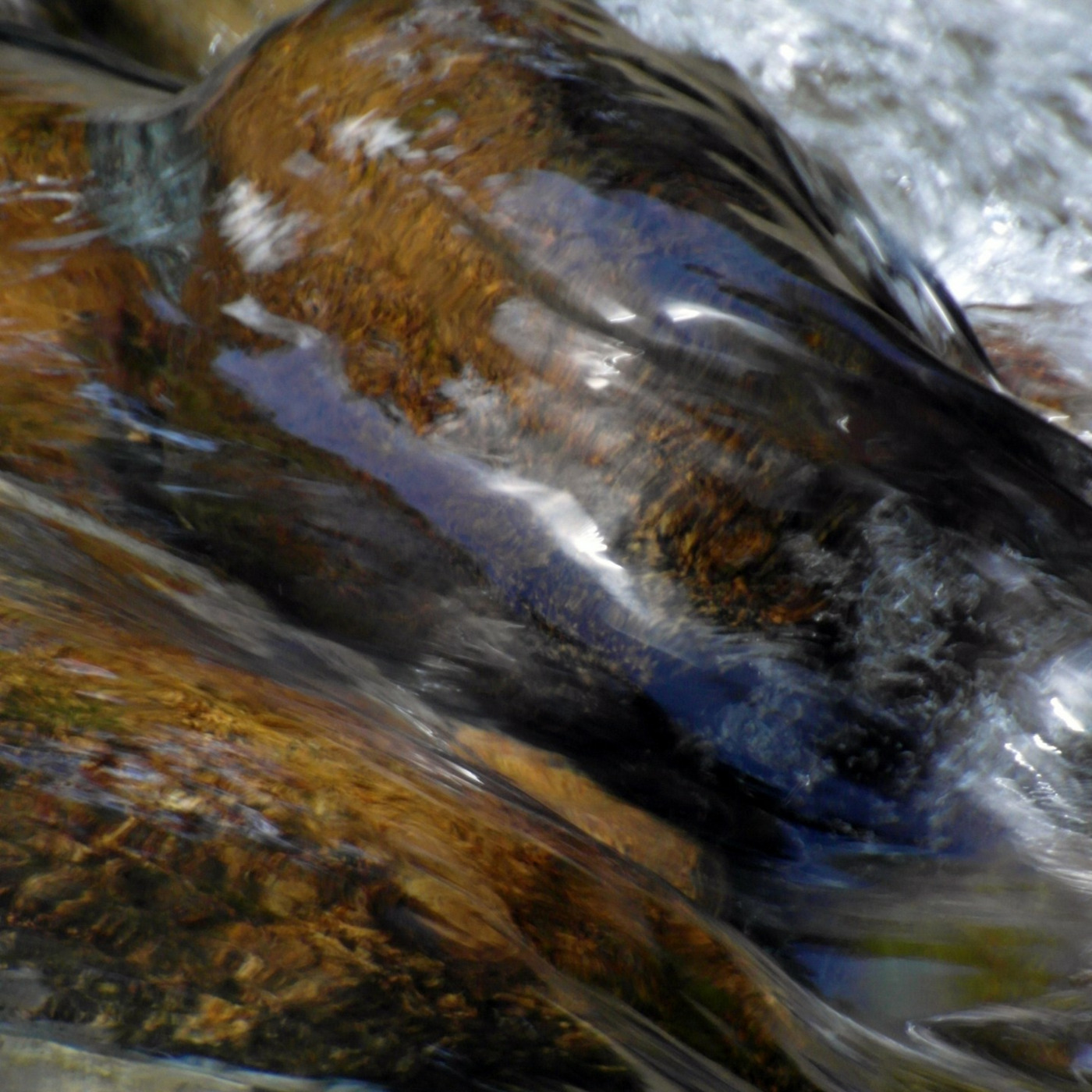 Episode 83: Merge With the River of My Voice episode artwork