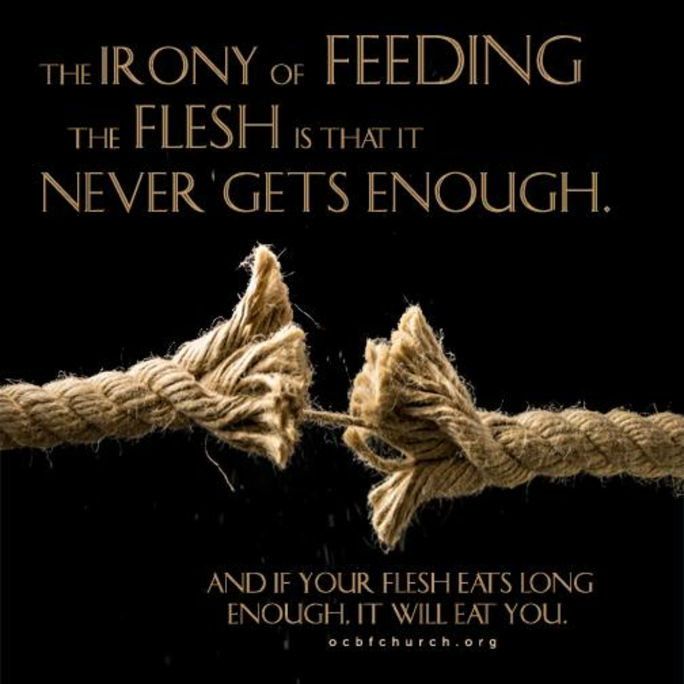 Episode 108: Feeding or Fighting the Flesh episode artwork