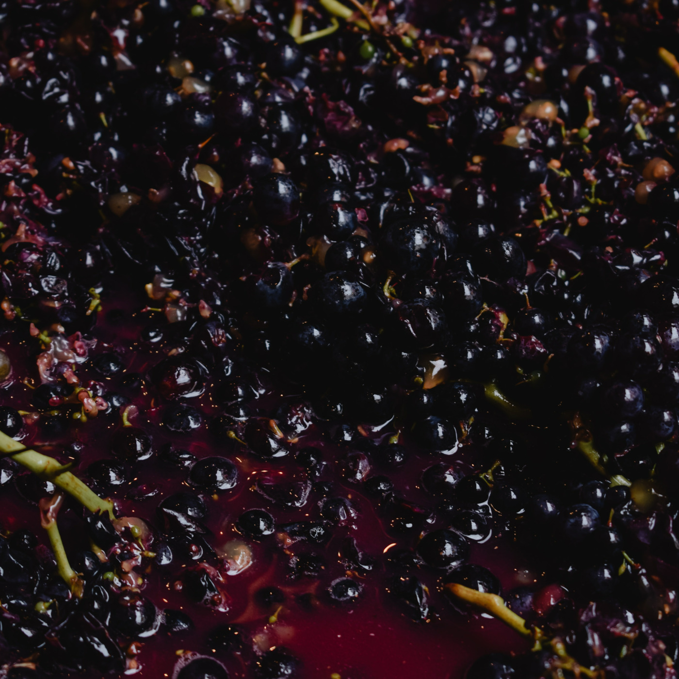 Episode 119: The Appointment with the Winepress episode artwork
