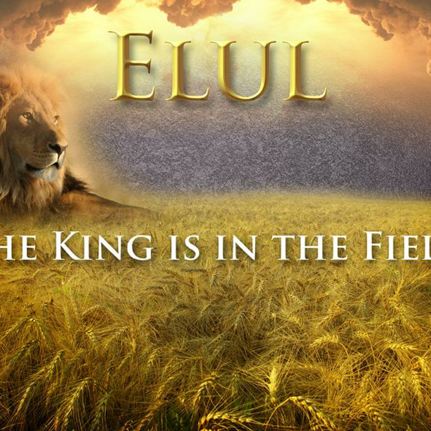 Episode 122: The King is in the Field episode artwork