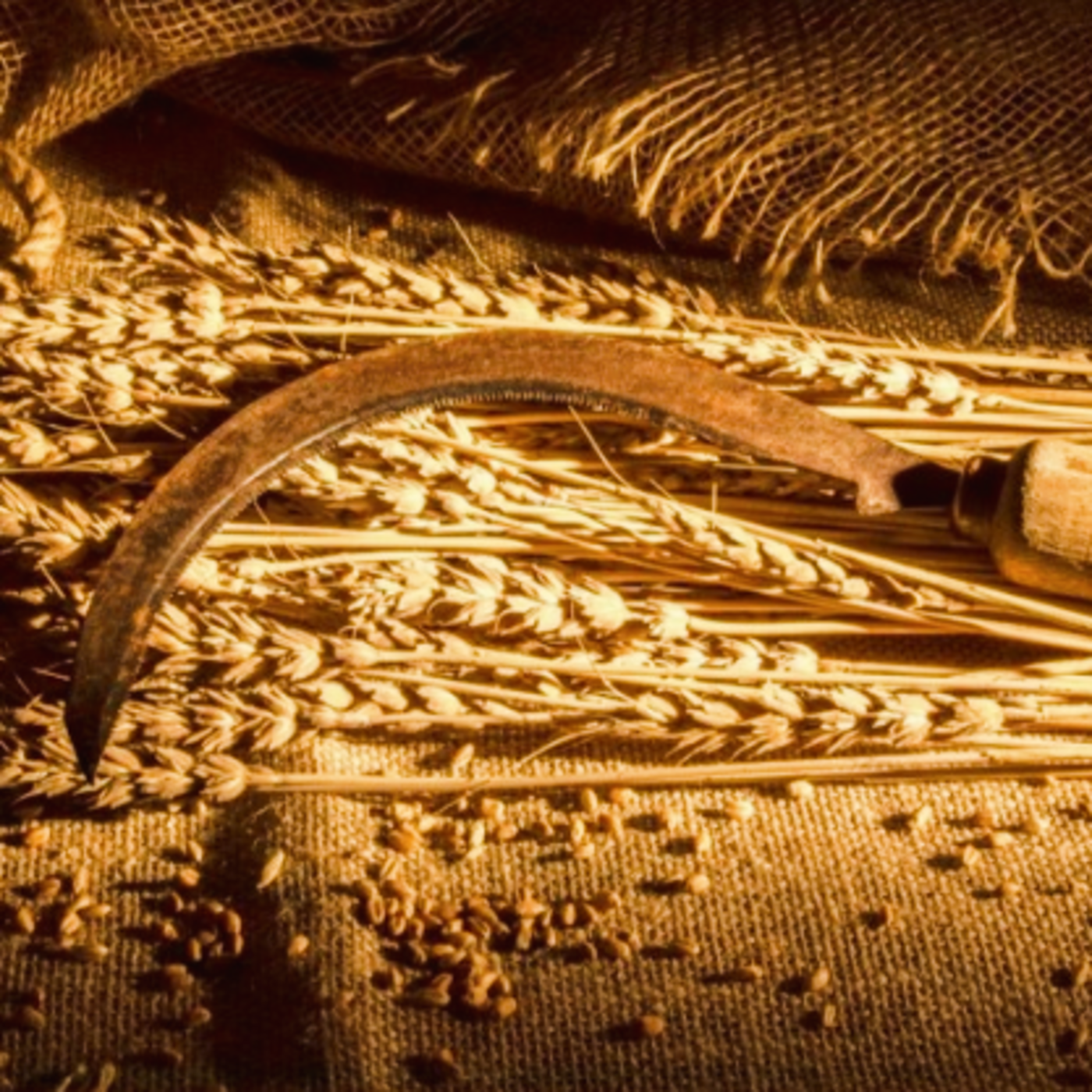 Episode 205: Sharpen Your Sickle episode artwork