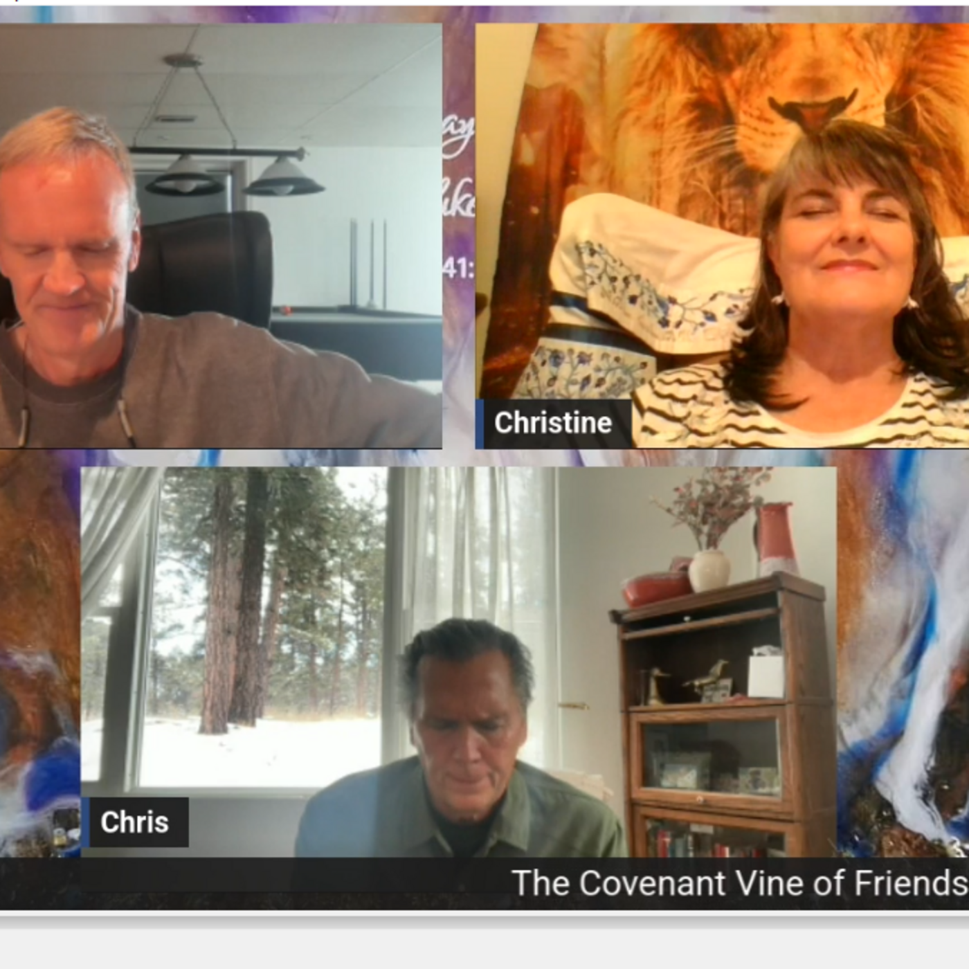 Episode 286: The Covenant Vine of Friendship ~ audio of livestream episode artwork