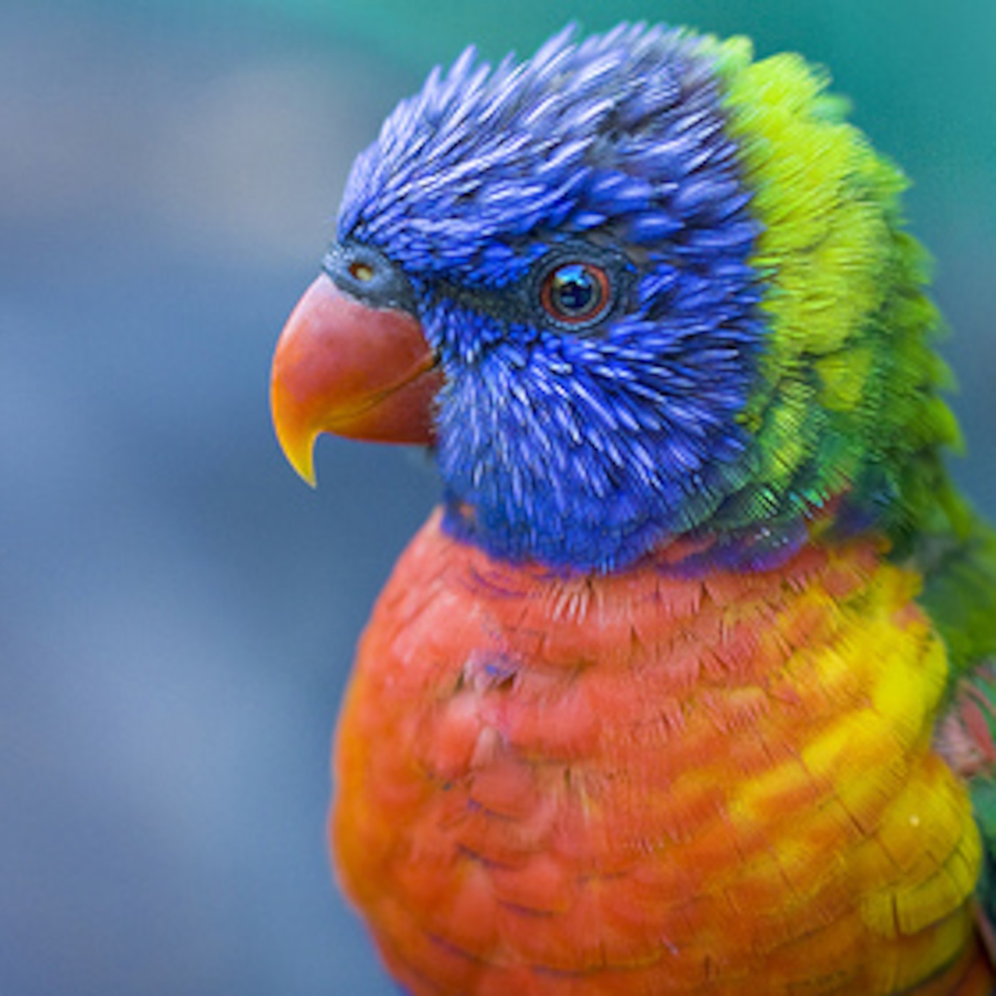 2009 Megamix 2009 Megamix