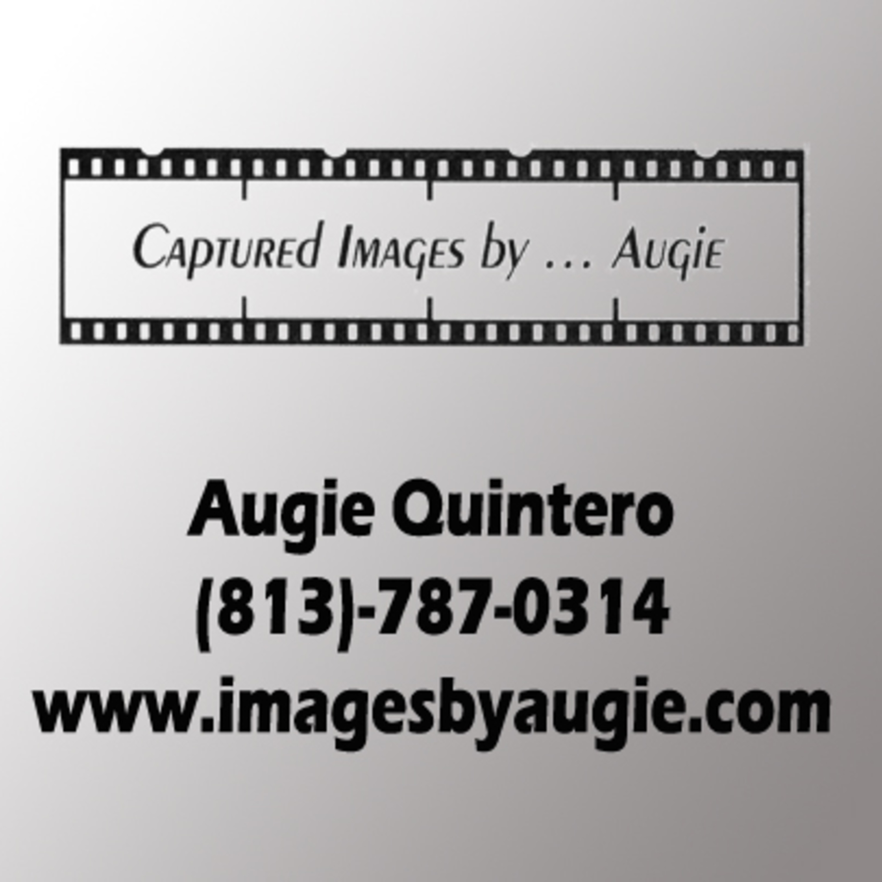 Captuerd Images by....Augie episode artwork