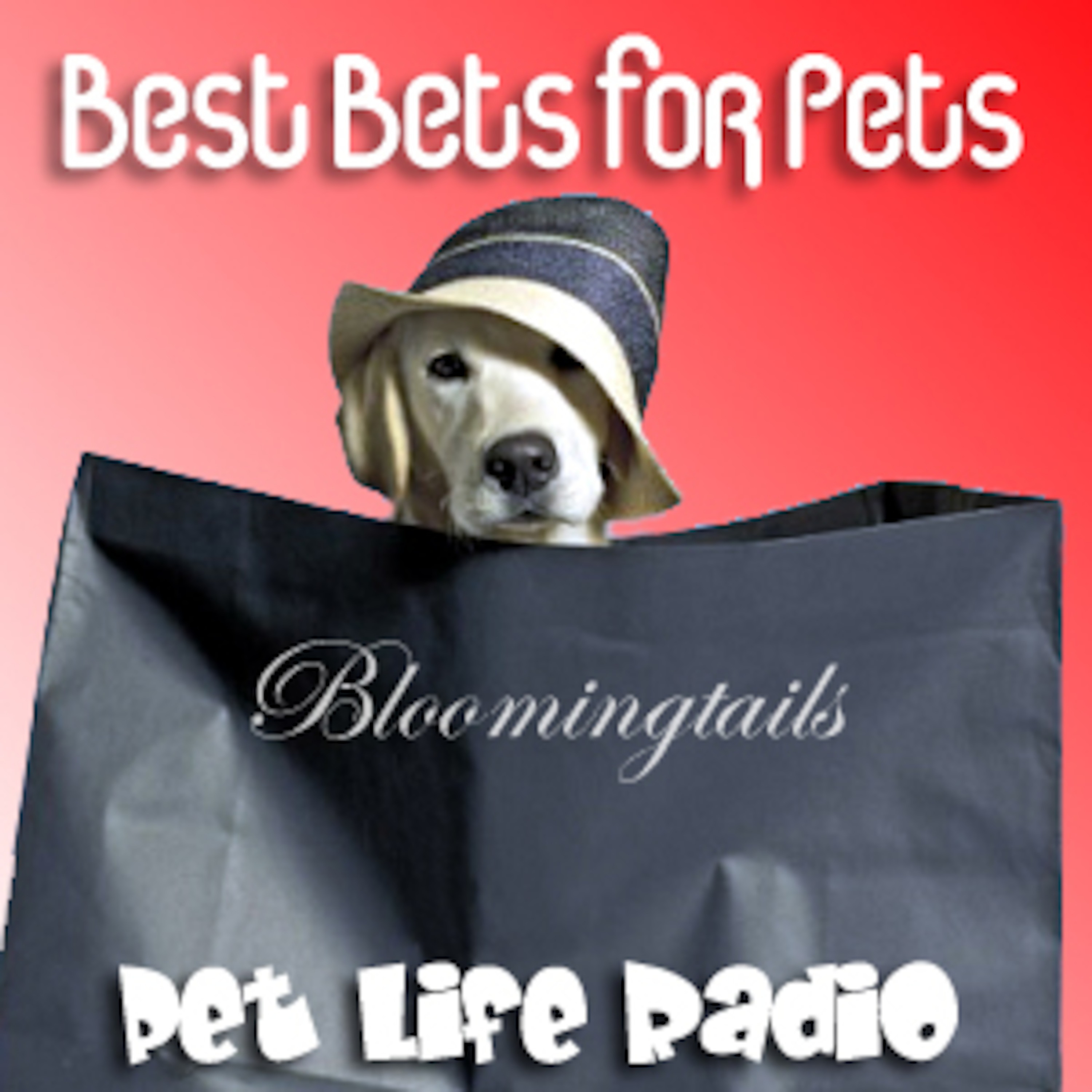 Best Bets for Pets -  Episode 43 Tails Untold and What Odor? episode artwork