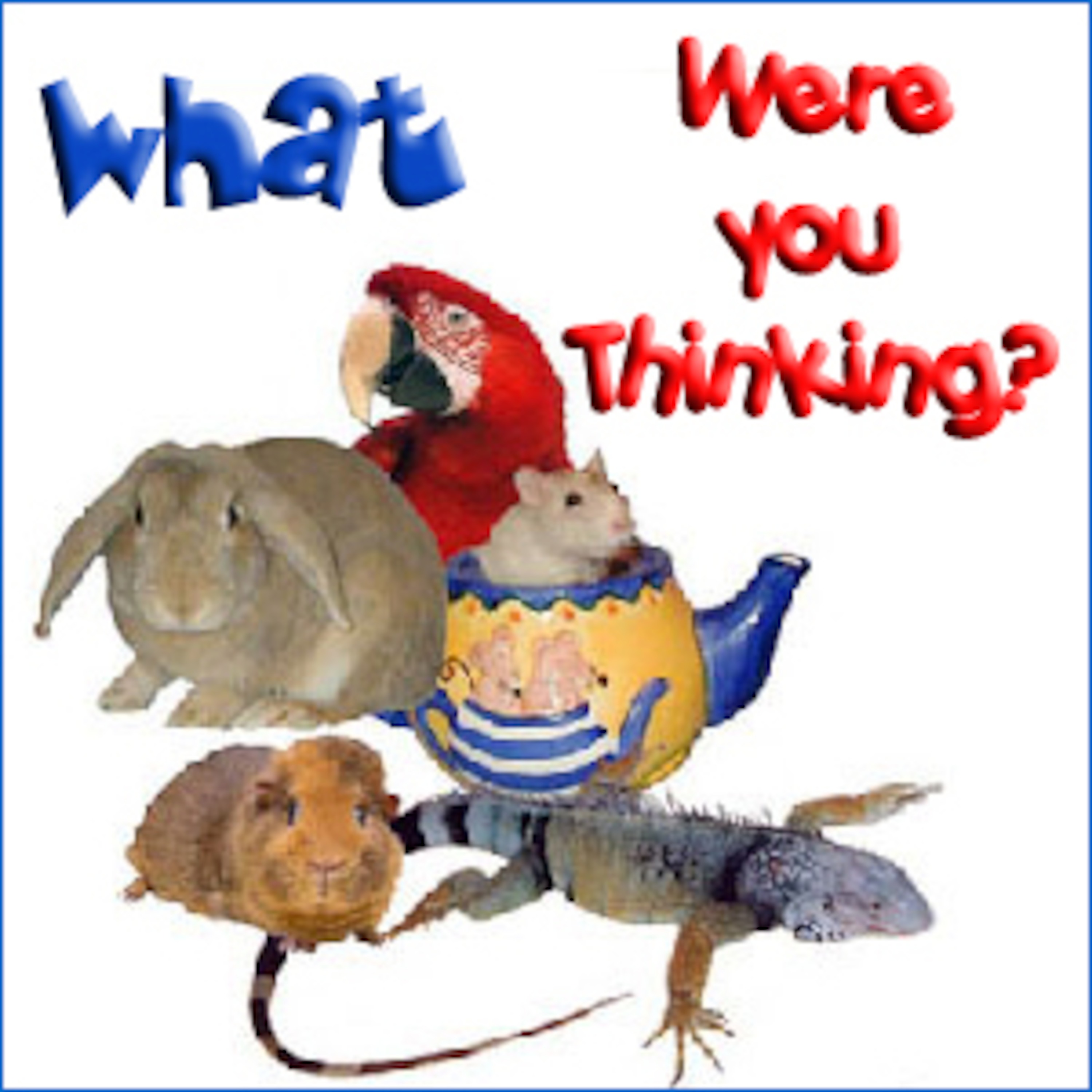 What Were You Thinking - Episode 64 The Biggest Week in American Birding (Part Two) episode artwork