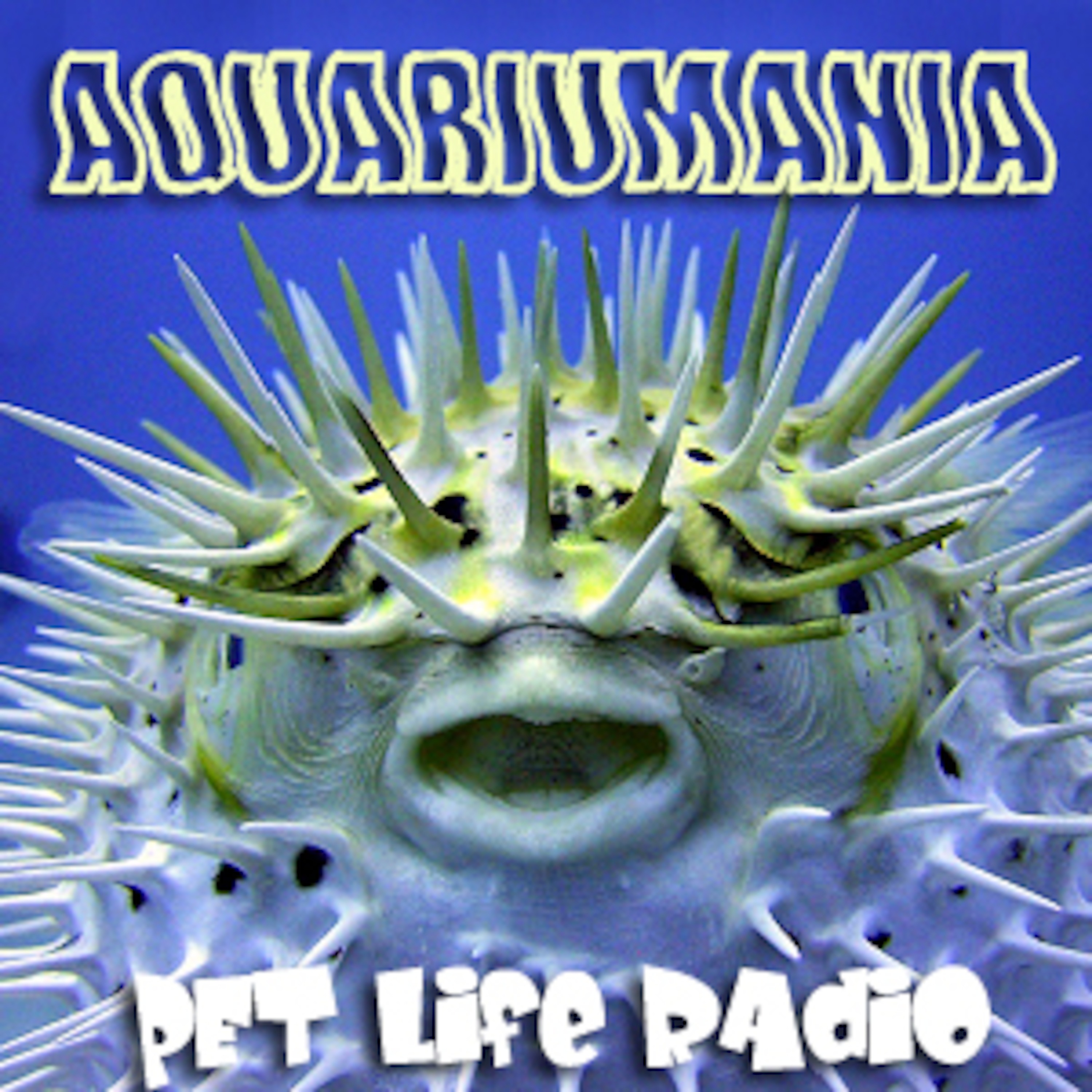 Aquariumania - Episode 34 Banggai Cardinalfish Adventures with Journalist Ret Talbot episode artwork