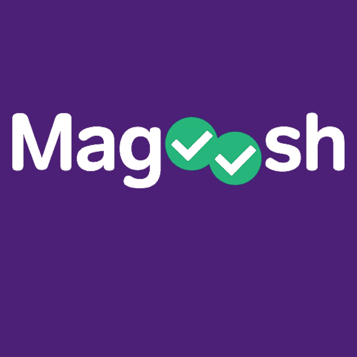 Interview with Magoosh CEO