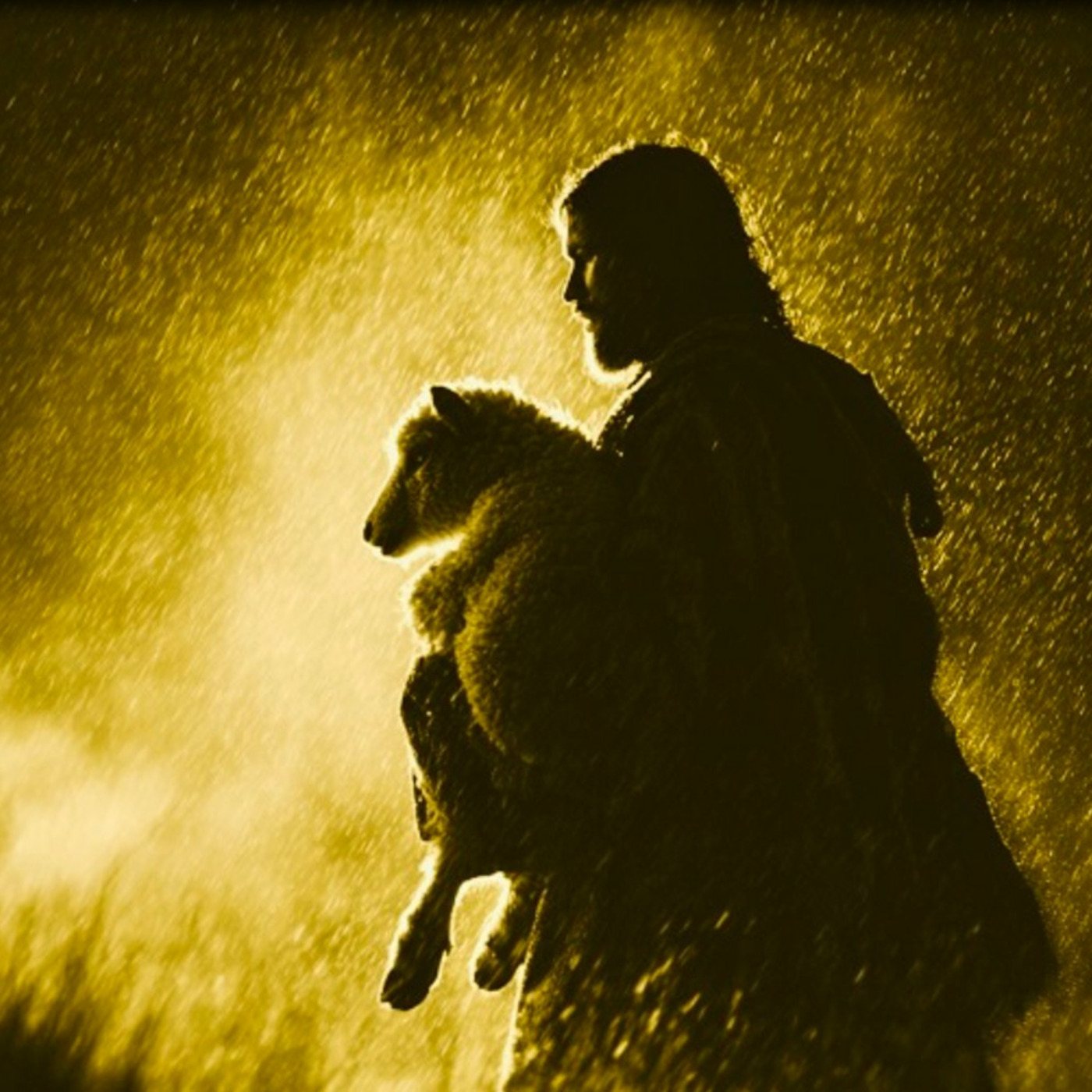 Episode 255: Divine Rescue: Found in our Lostness