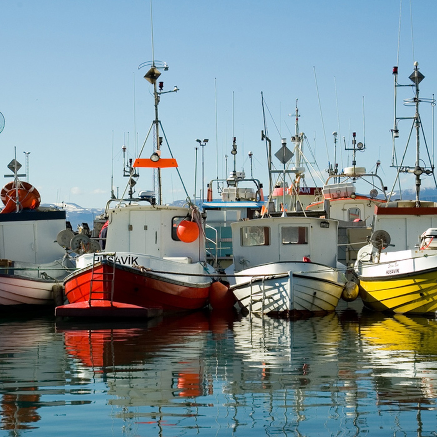 Can 'Catch Shares' Prevent Fisheries Collapse?