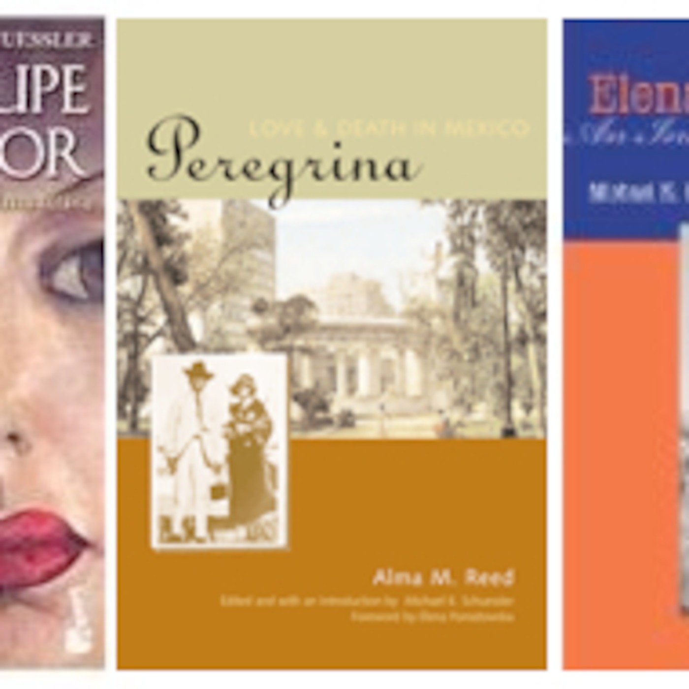 Michael K. Schuessler: A Conversation about Pita Amor, Elena Poniatowska, Sor Juana, and Alma Reed