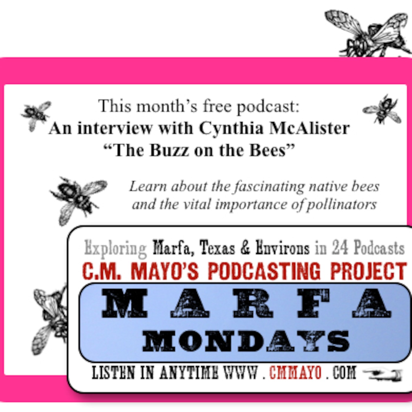 Marfa Mondays 5: Cynthia McAlister: The Buzz on the Bees