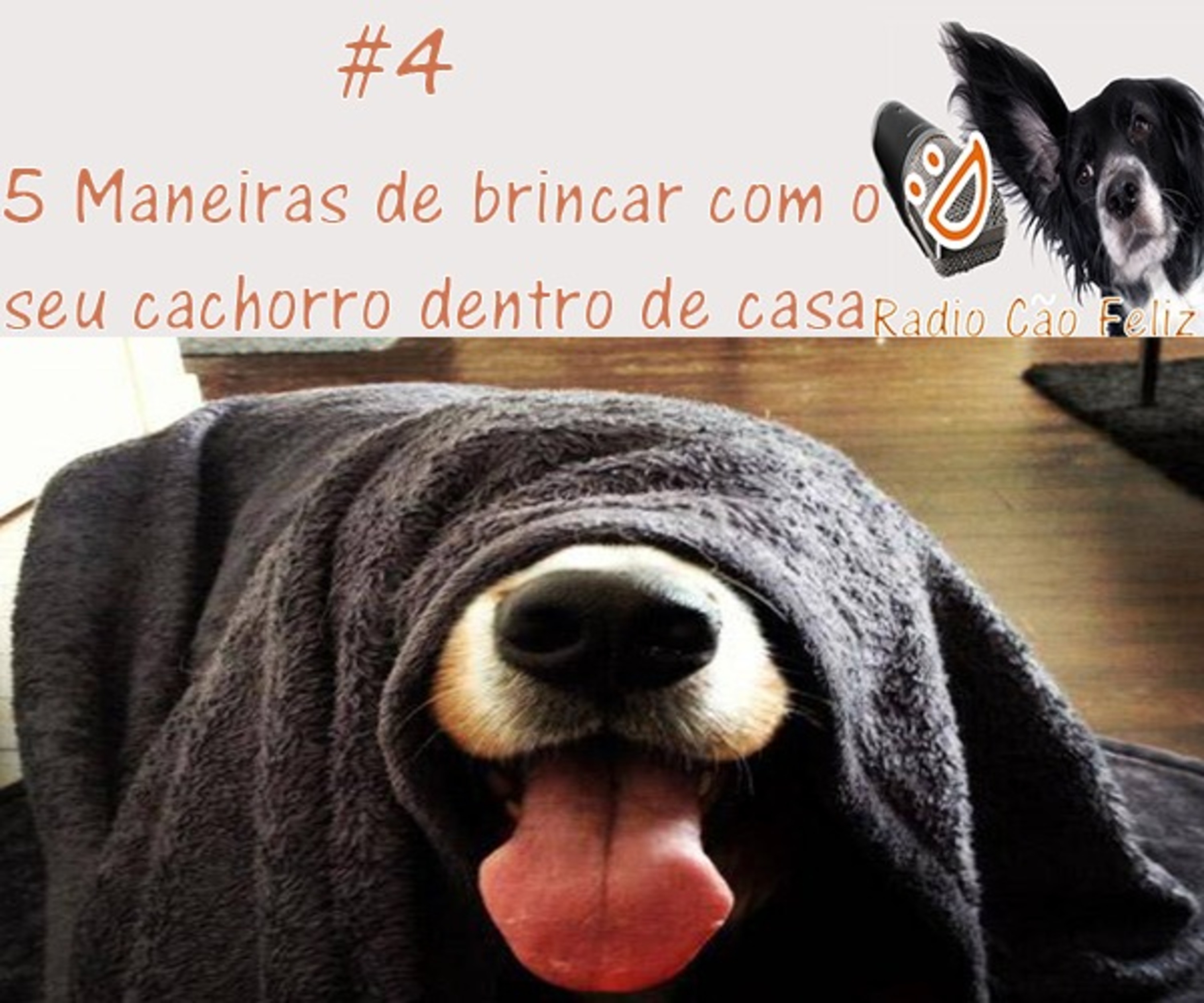 Radio Cão Feliz