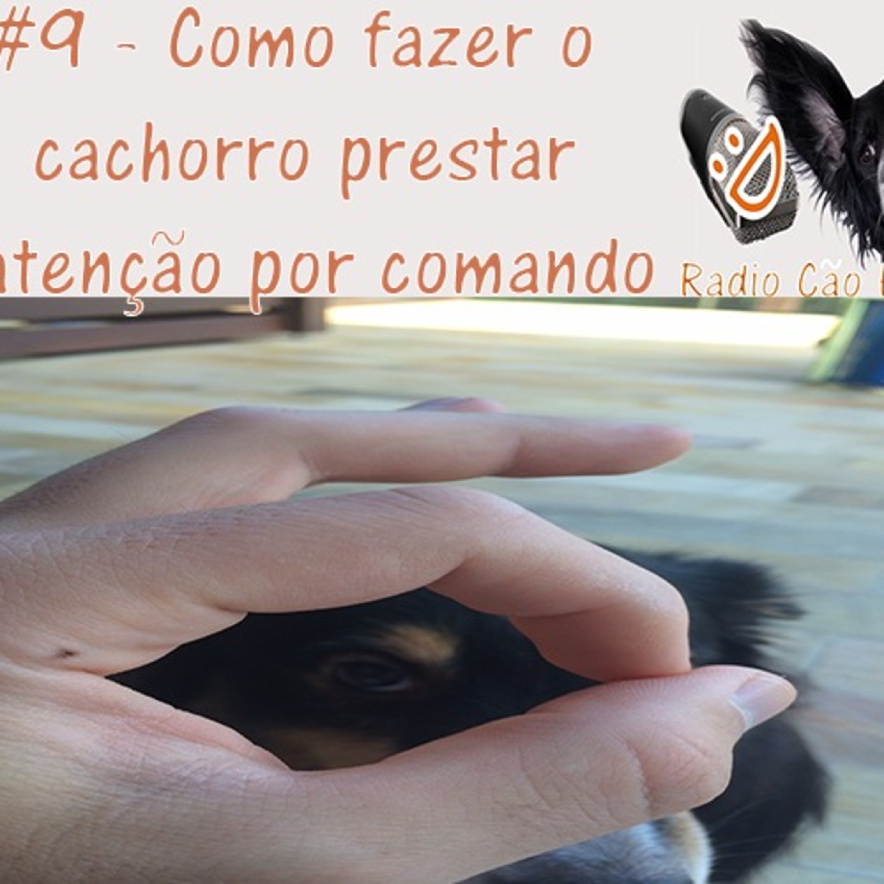 Radio Cão Feliz