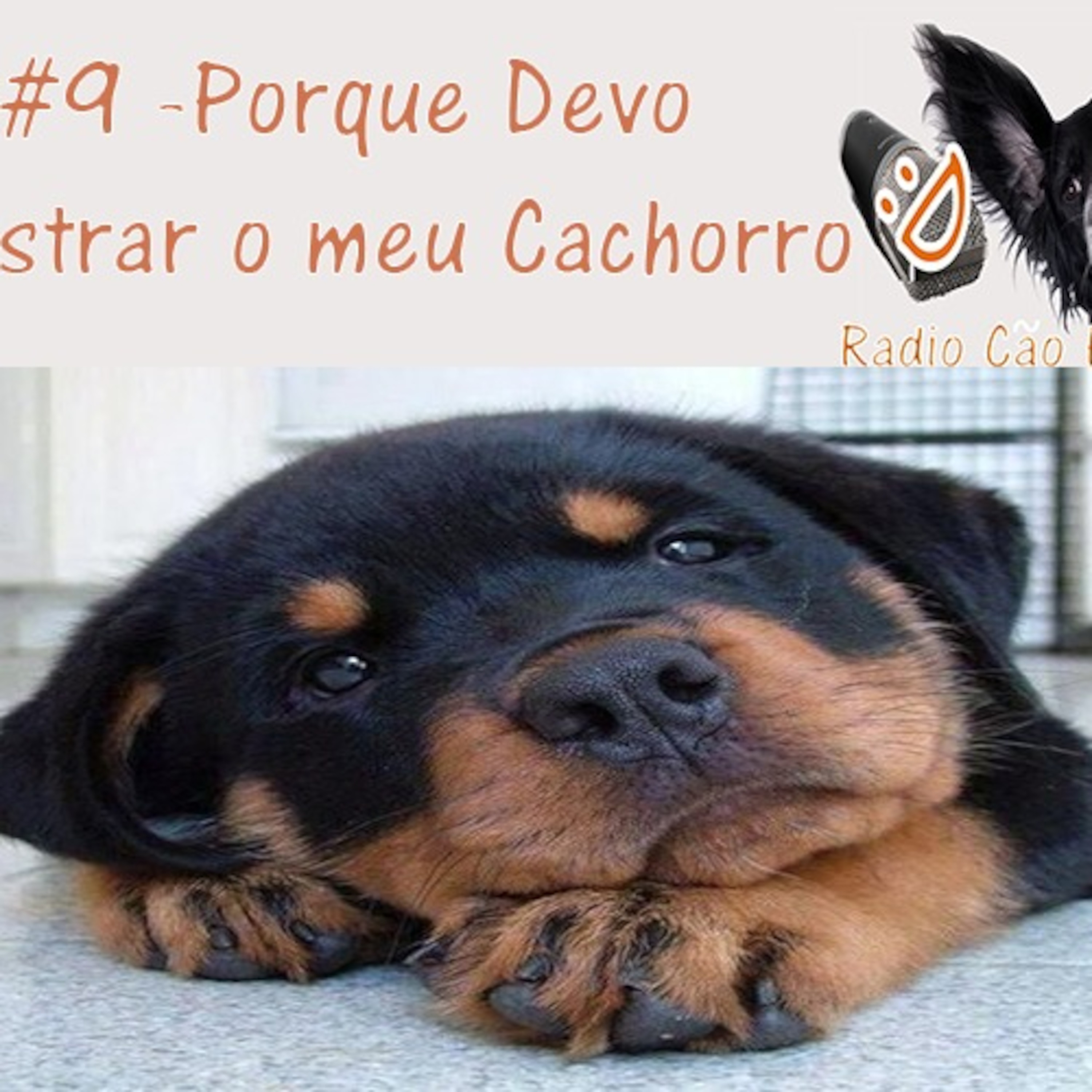 Radio Cão Feliz