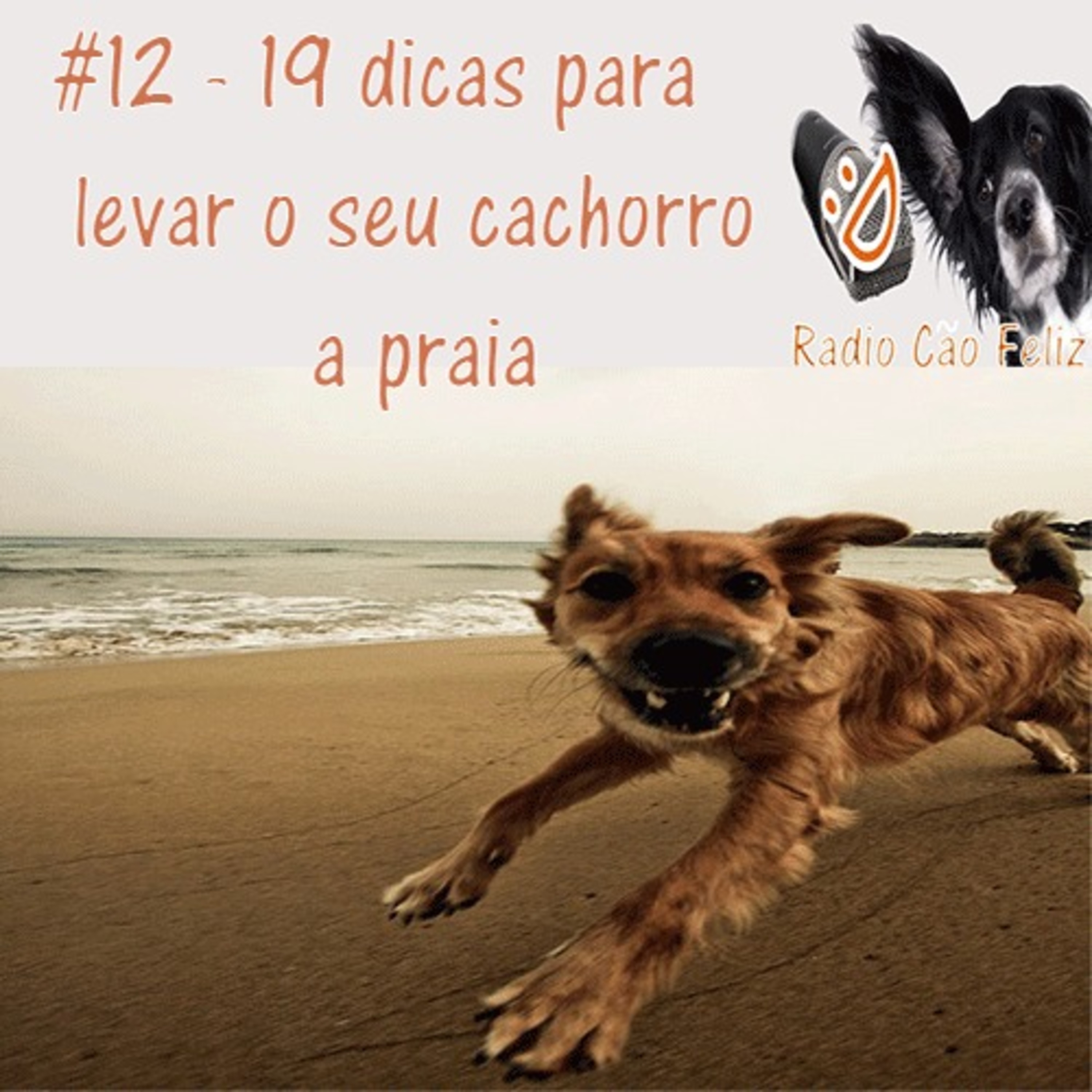 Radio Cão Feliz