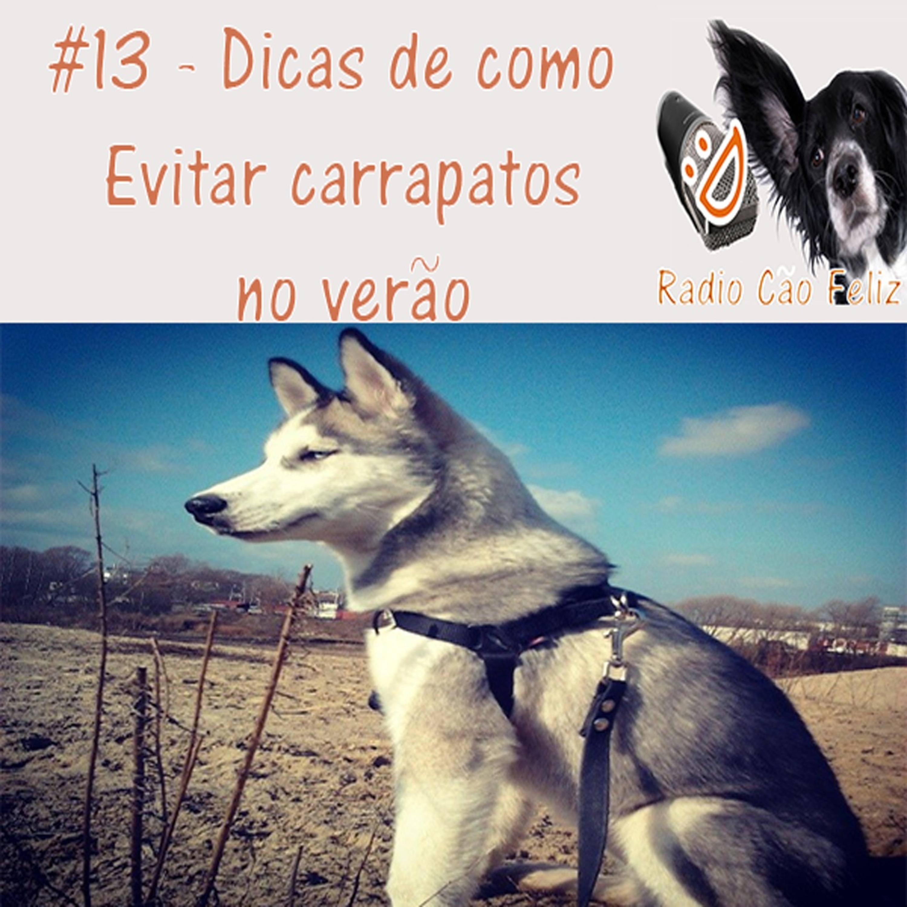 Radio Cão Feliz