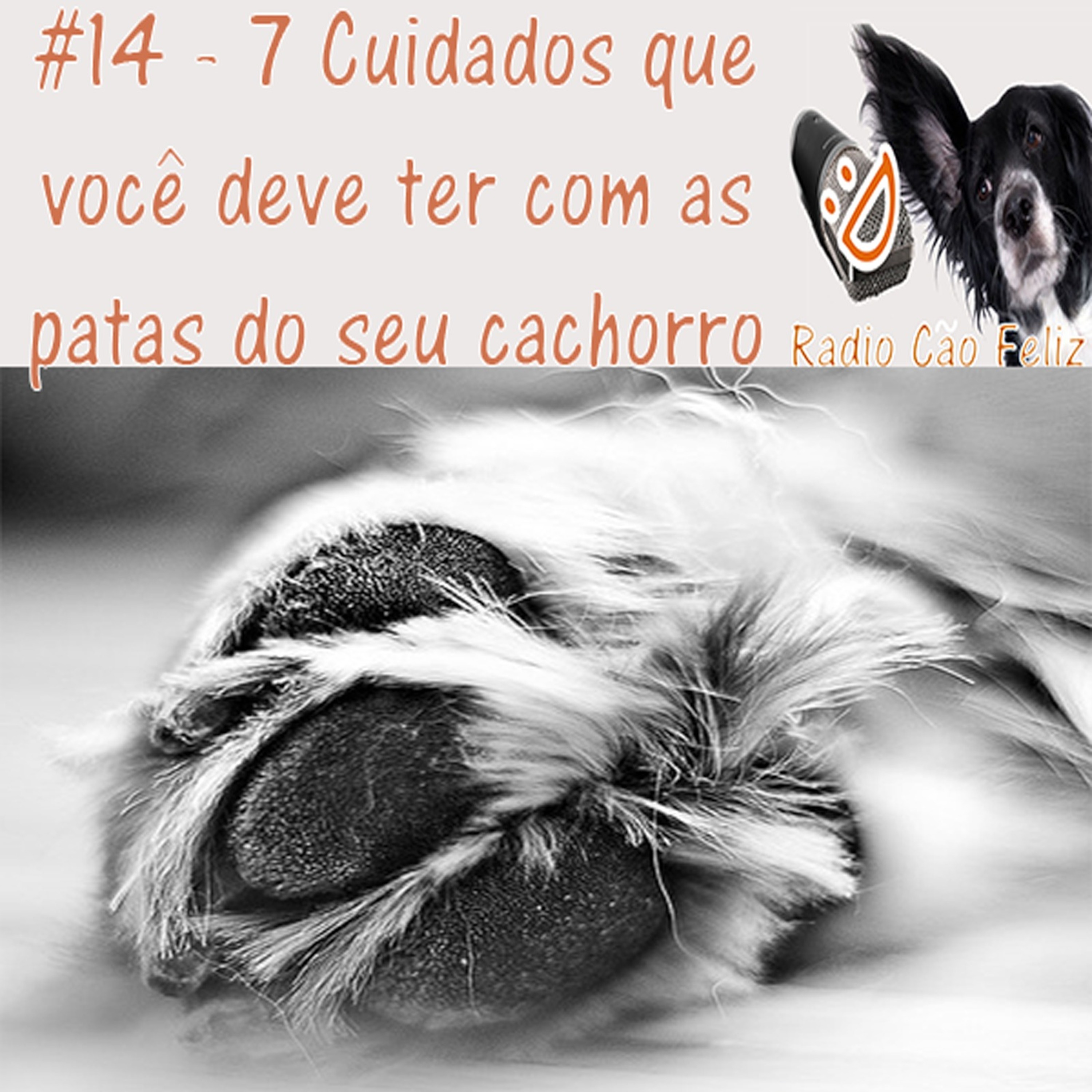 Radio Cão Feliz