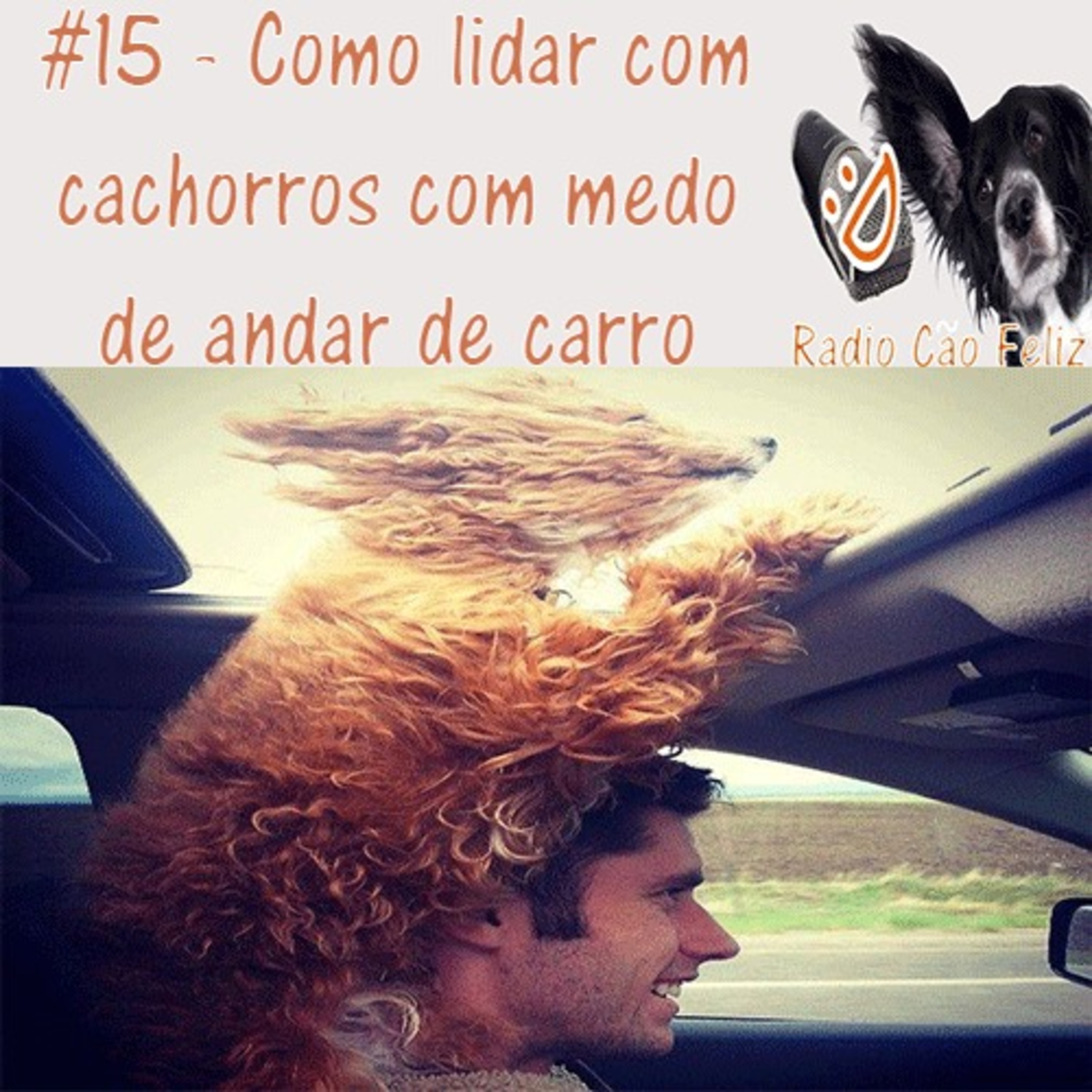 Radio Cão Feliz