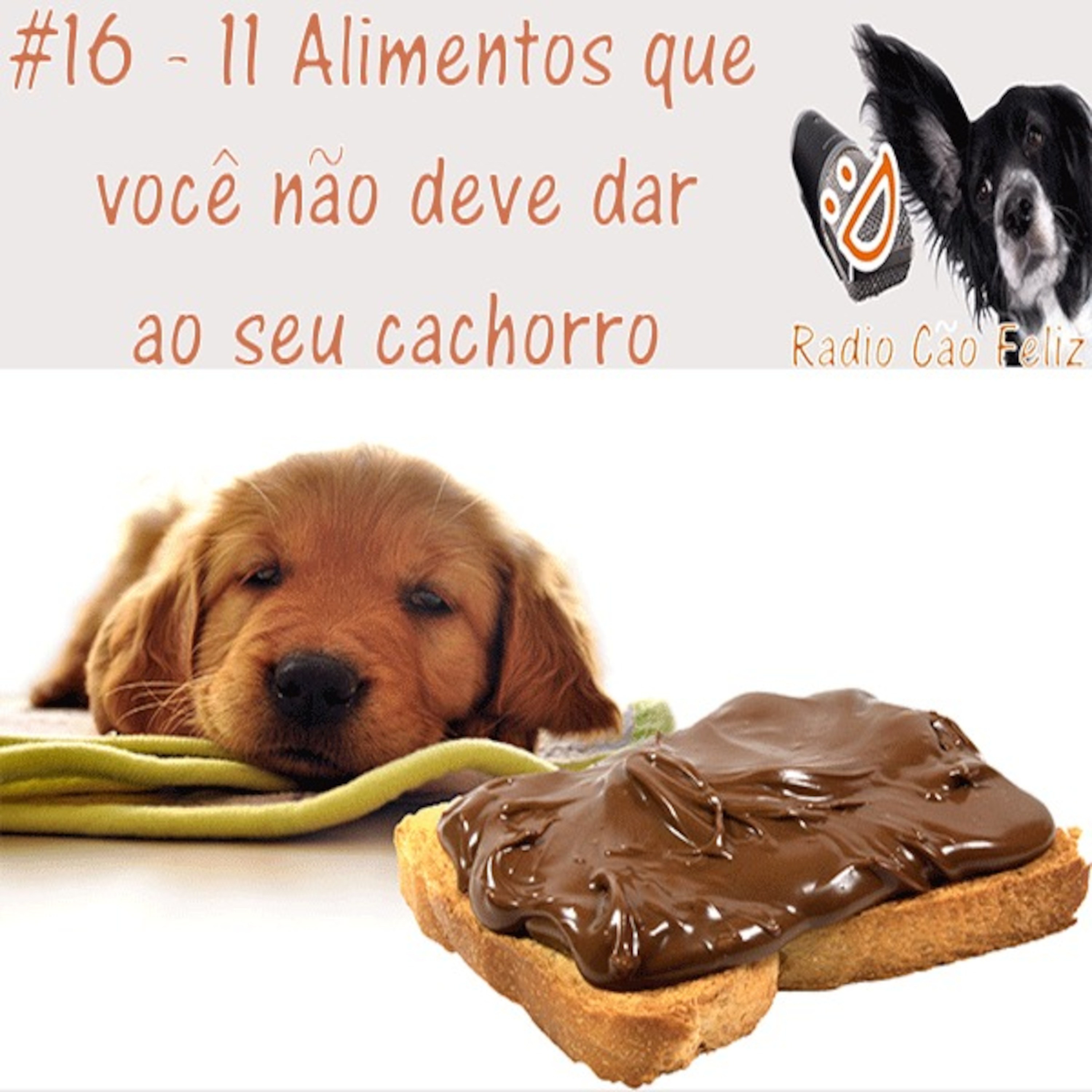 Radio Cão Feliz