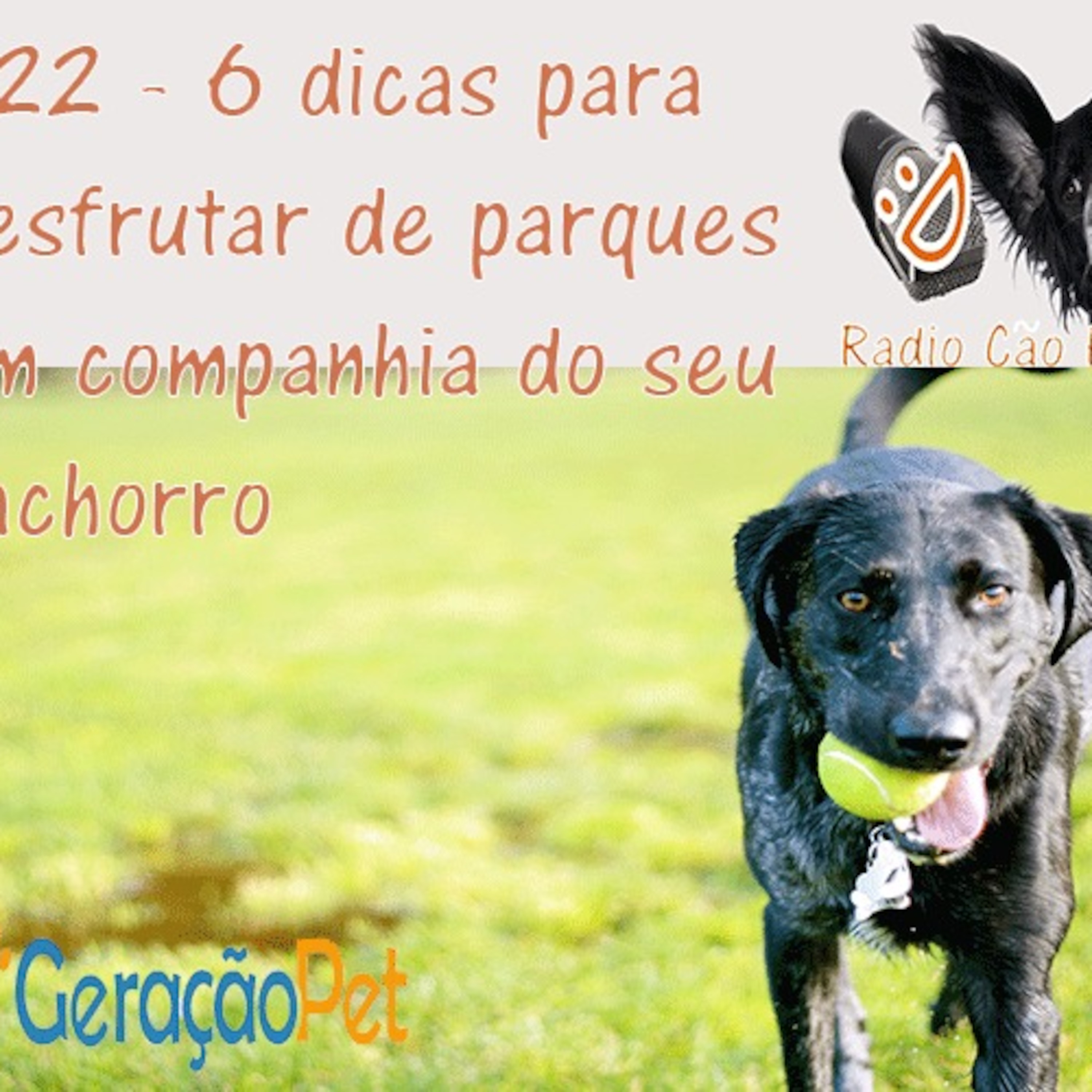Radio Cão Feliz
