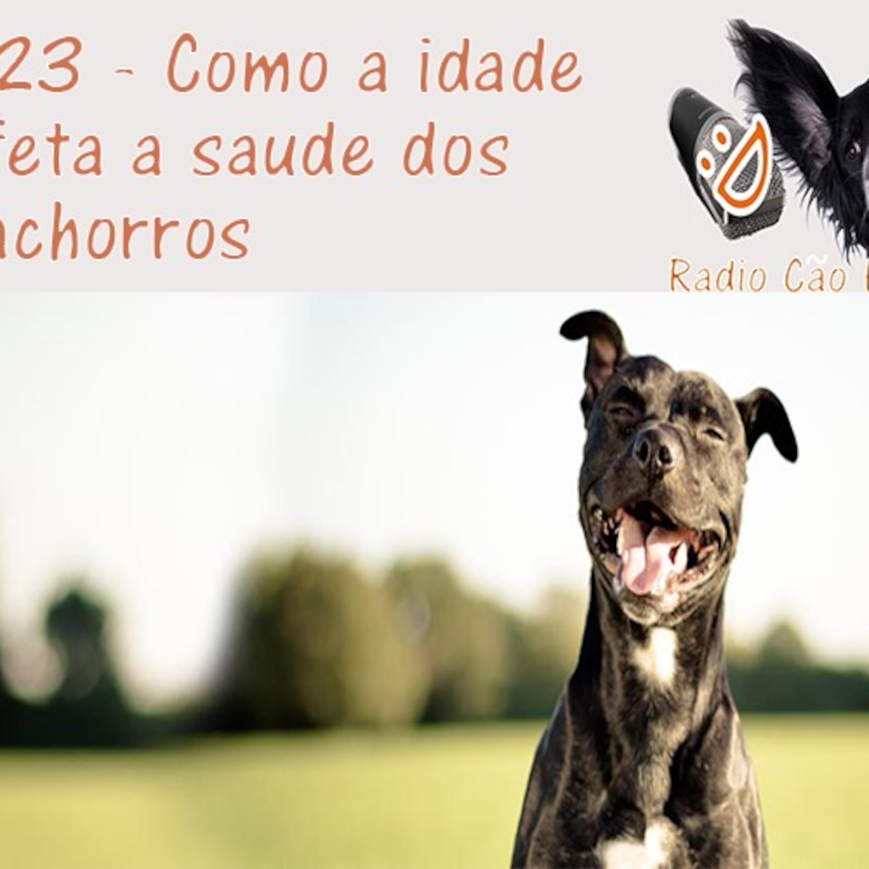 Radio Cão Feliz