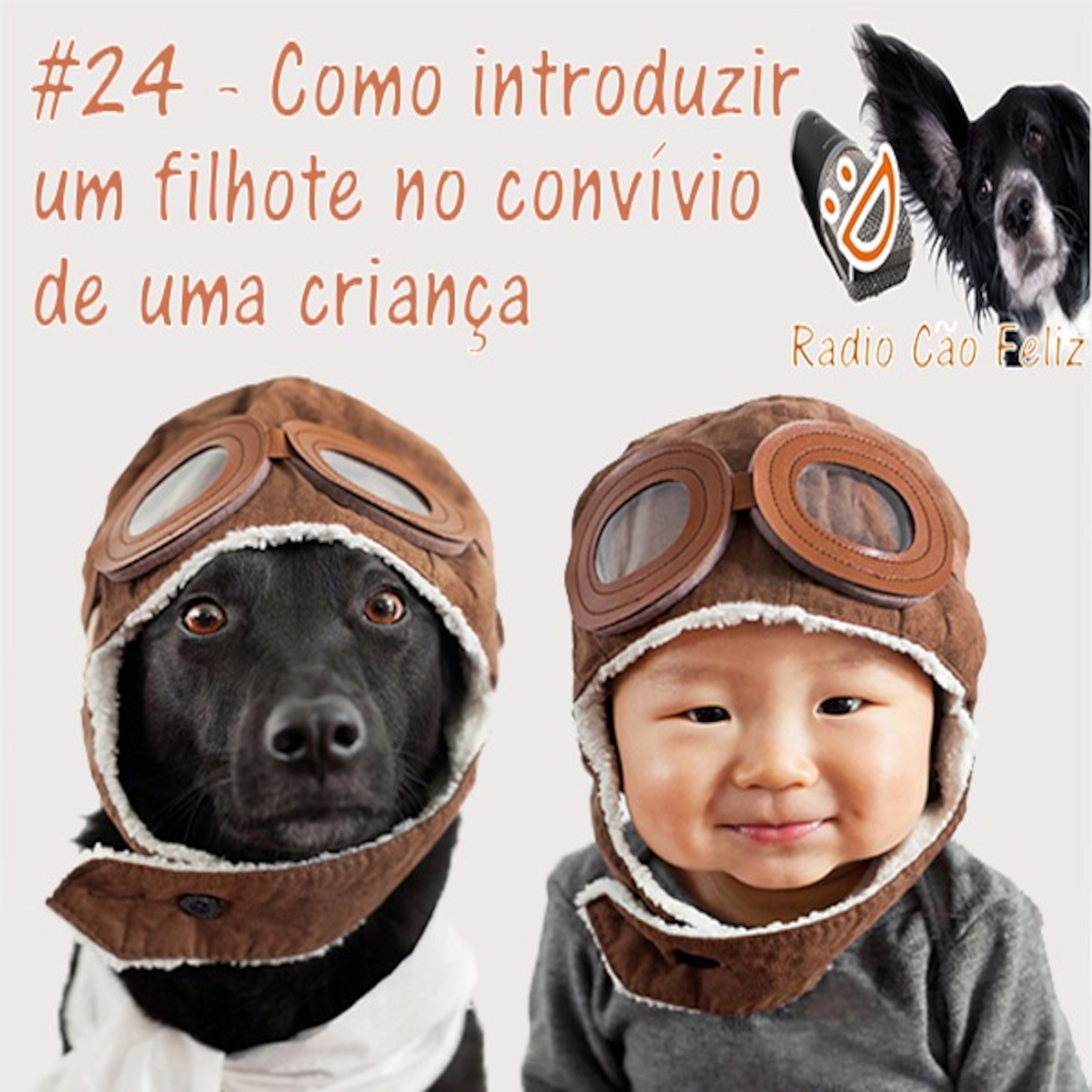 Radio Cão Feliz