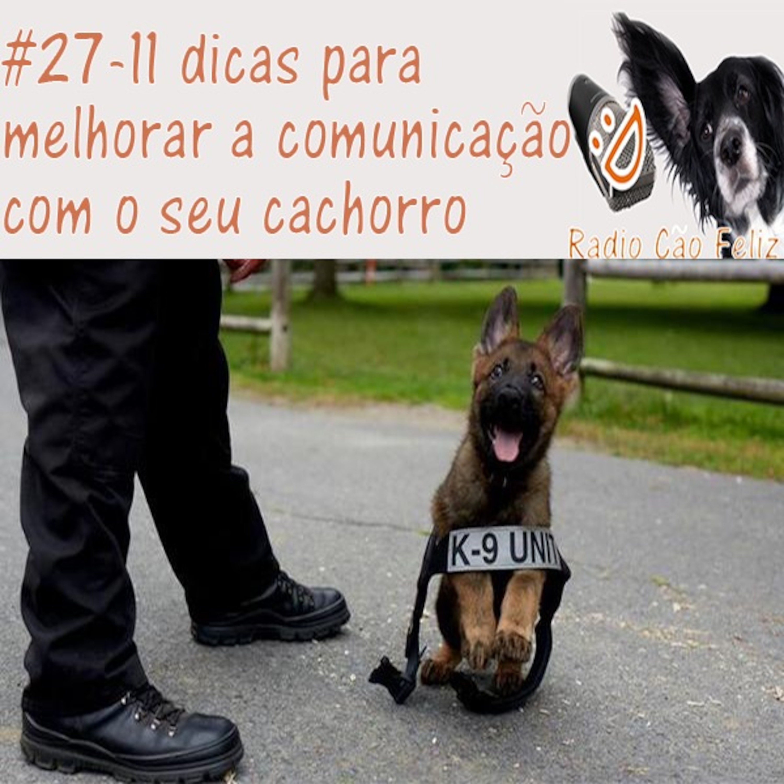 Radio Cão Feliz
