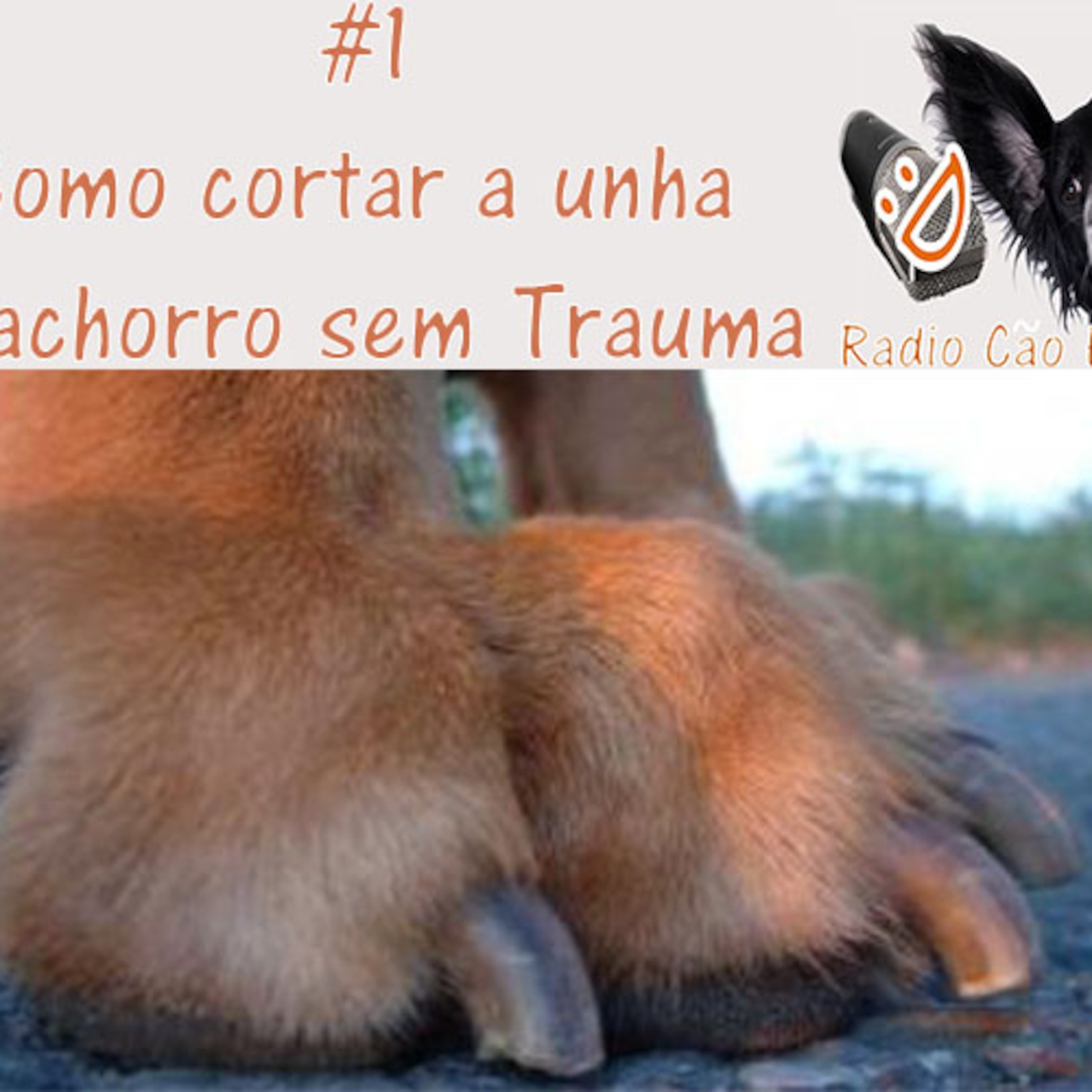 Radio Cão Feliz