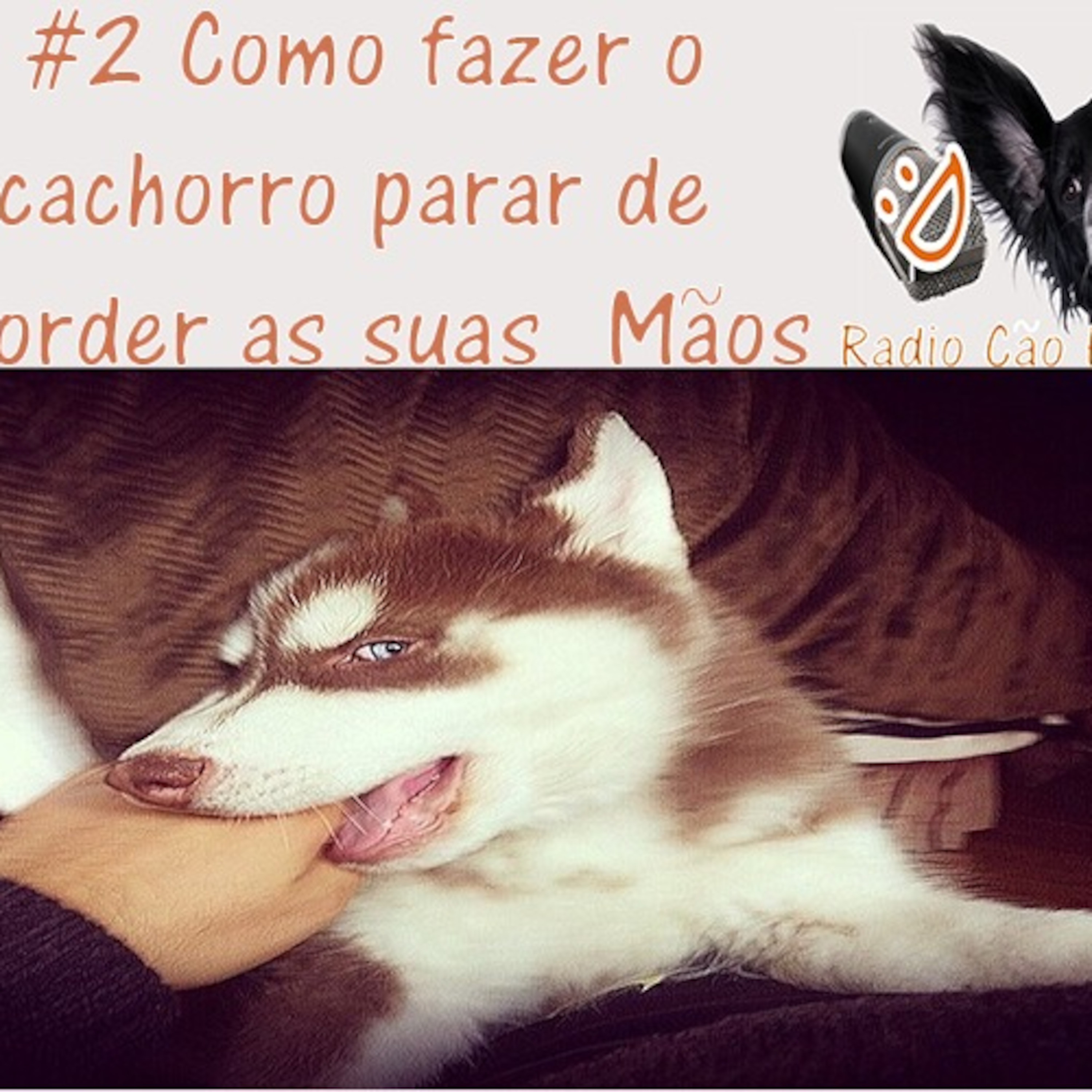Radio Cão Feliz