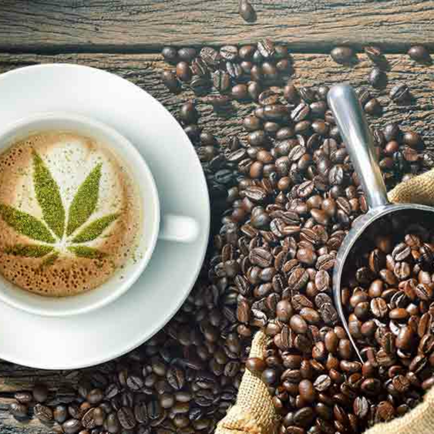 Everlasting Life CBD - CBD for Life