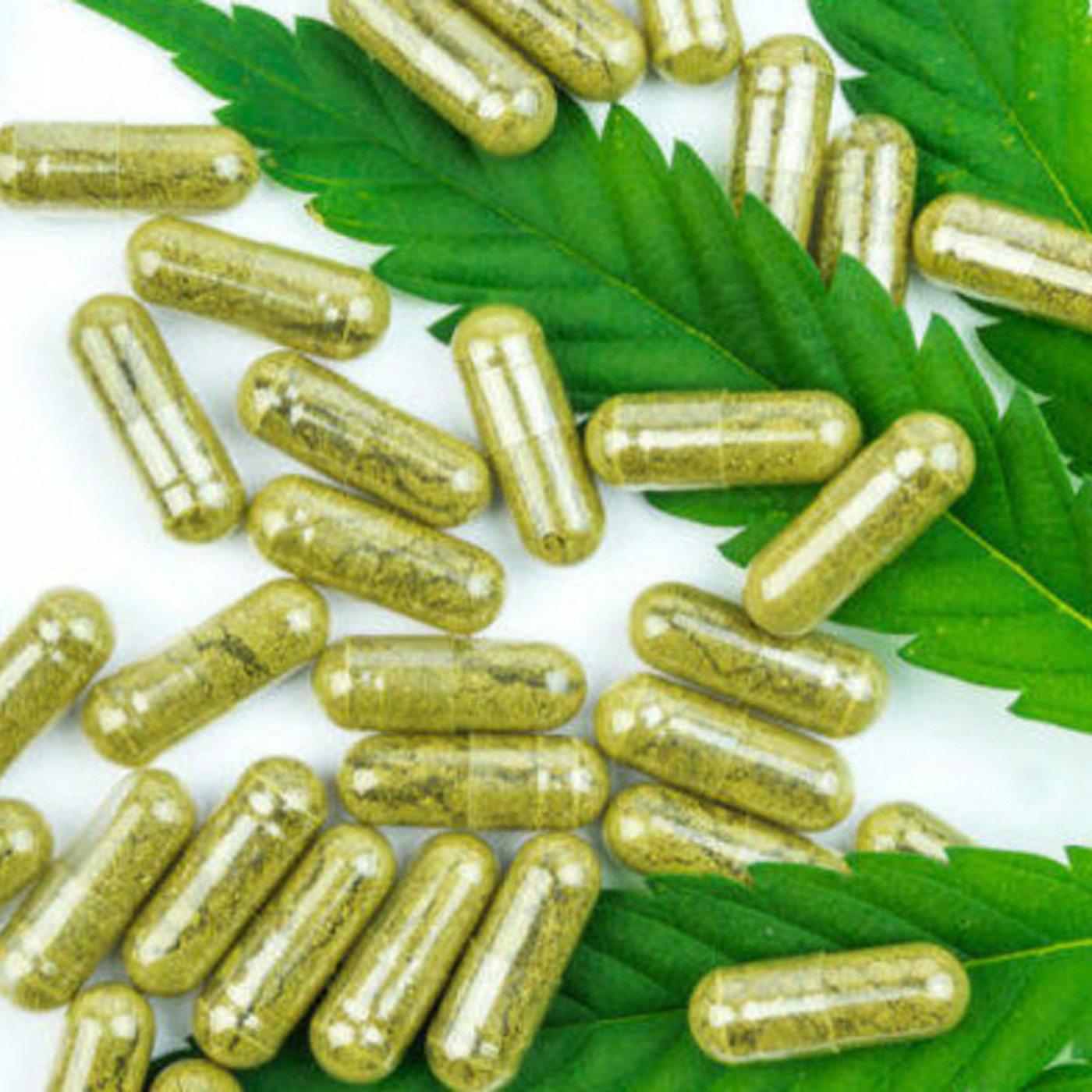 Everlasting Life CBD - CBD for Life