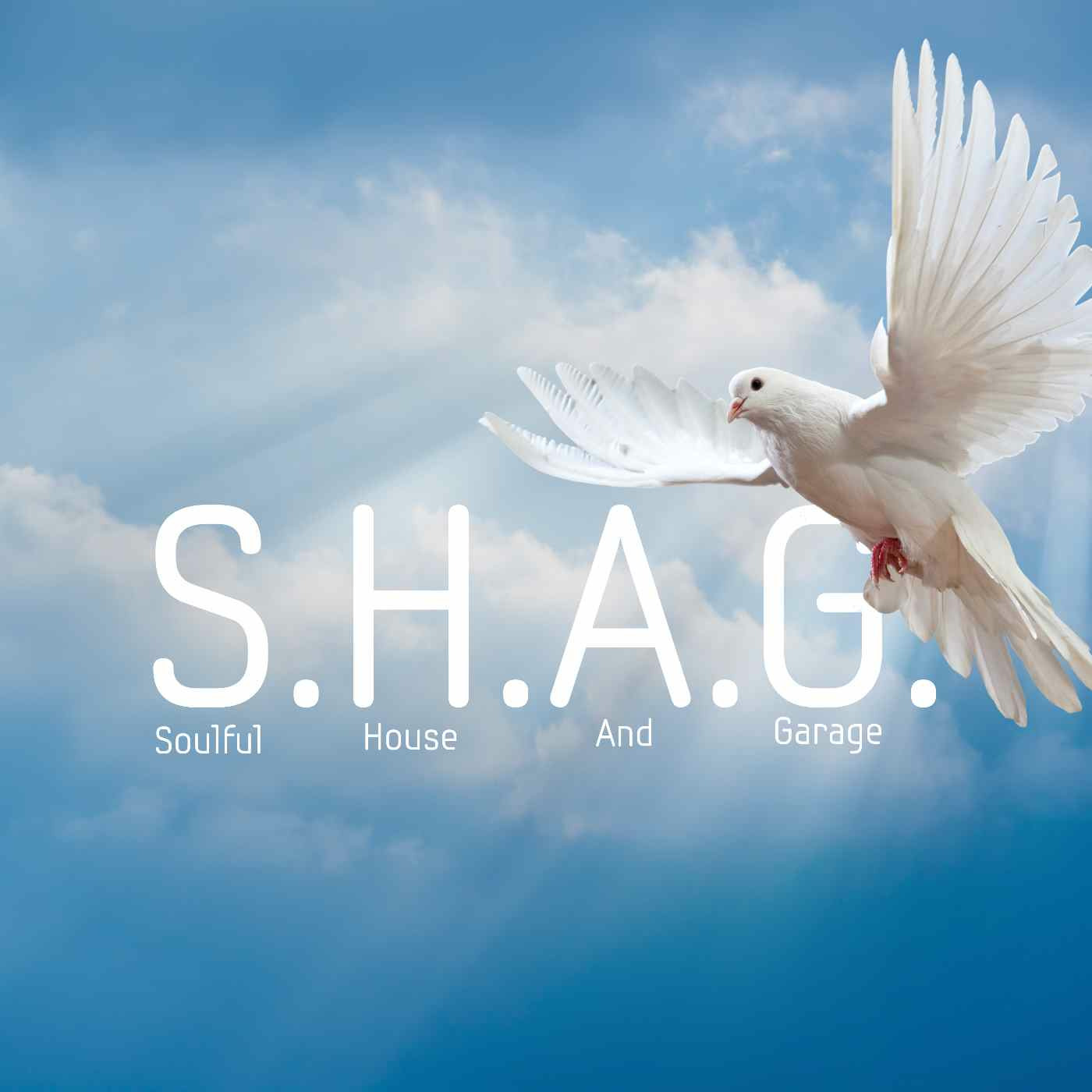 DJP\'s S.H.A.G. Soulful House And Garage live Radio show on http://PressureRadio.com