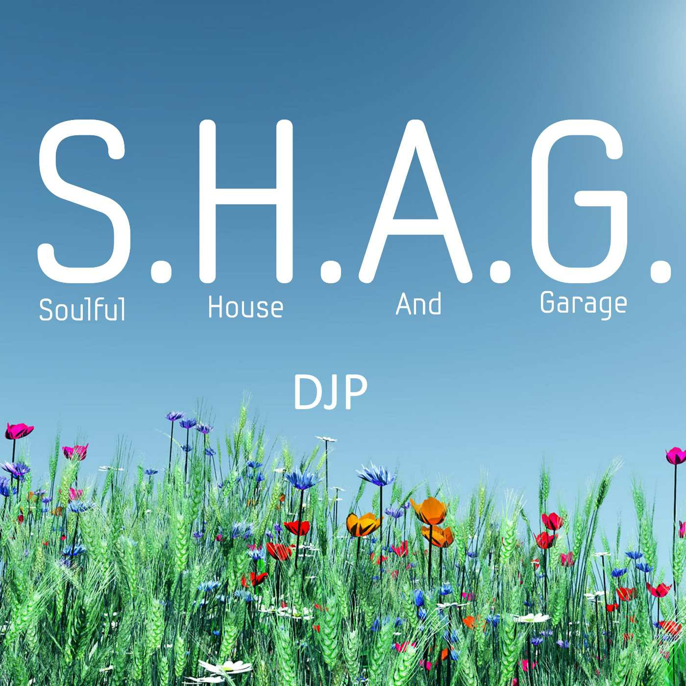 DJP\'s S.H.A.G. Soulful House And Garage live Radio show on http://PressureRadio.com
