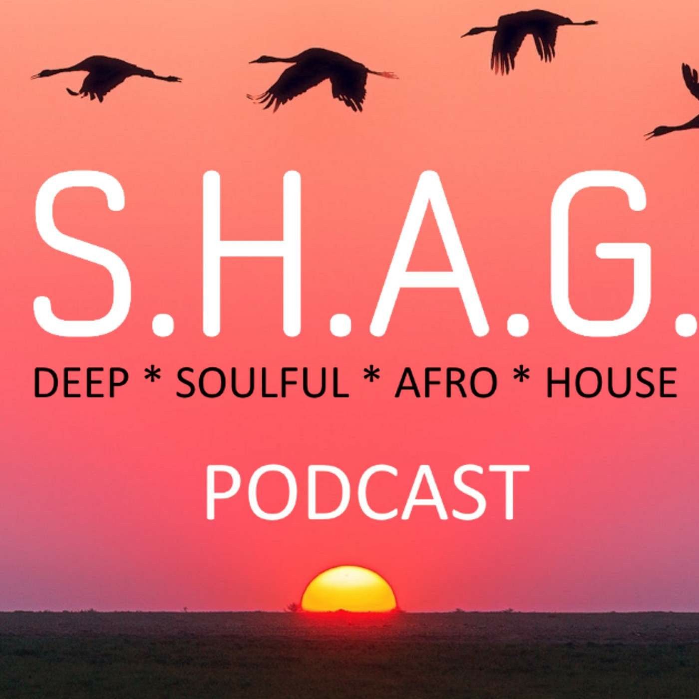 DJP\'s S.H.A.G. Soulful House And Garage live Radio show on http://PressureRadio.com