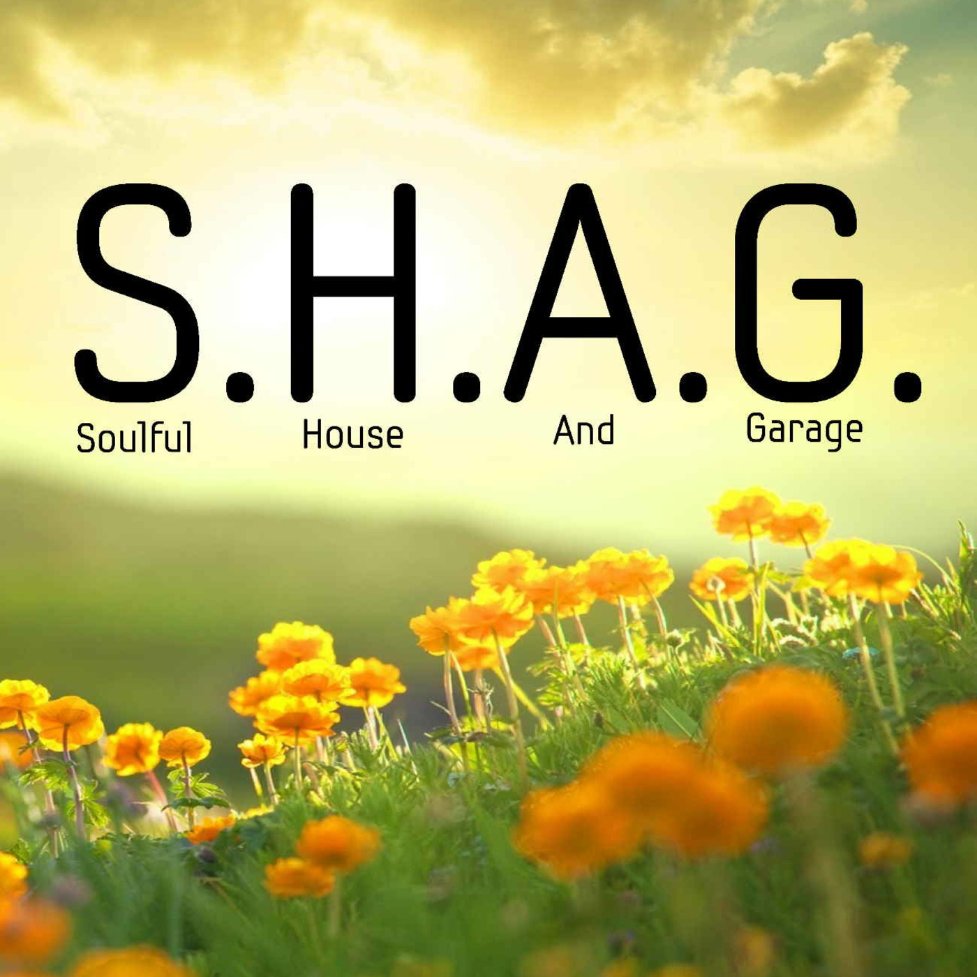 DJP\'s S.H.A.G. Soulful House And Garage live Radio show on http://PressureRadio.com