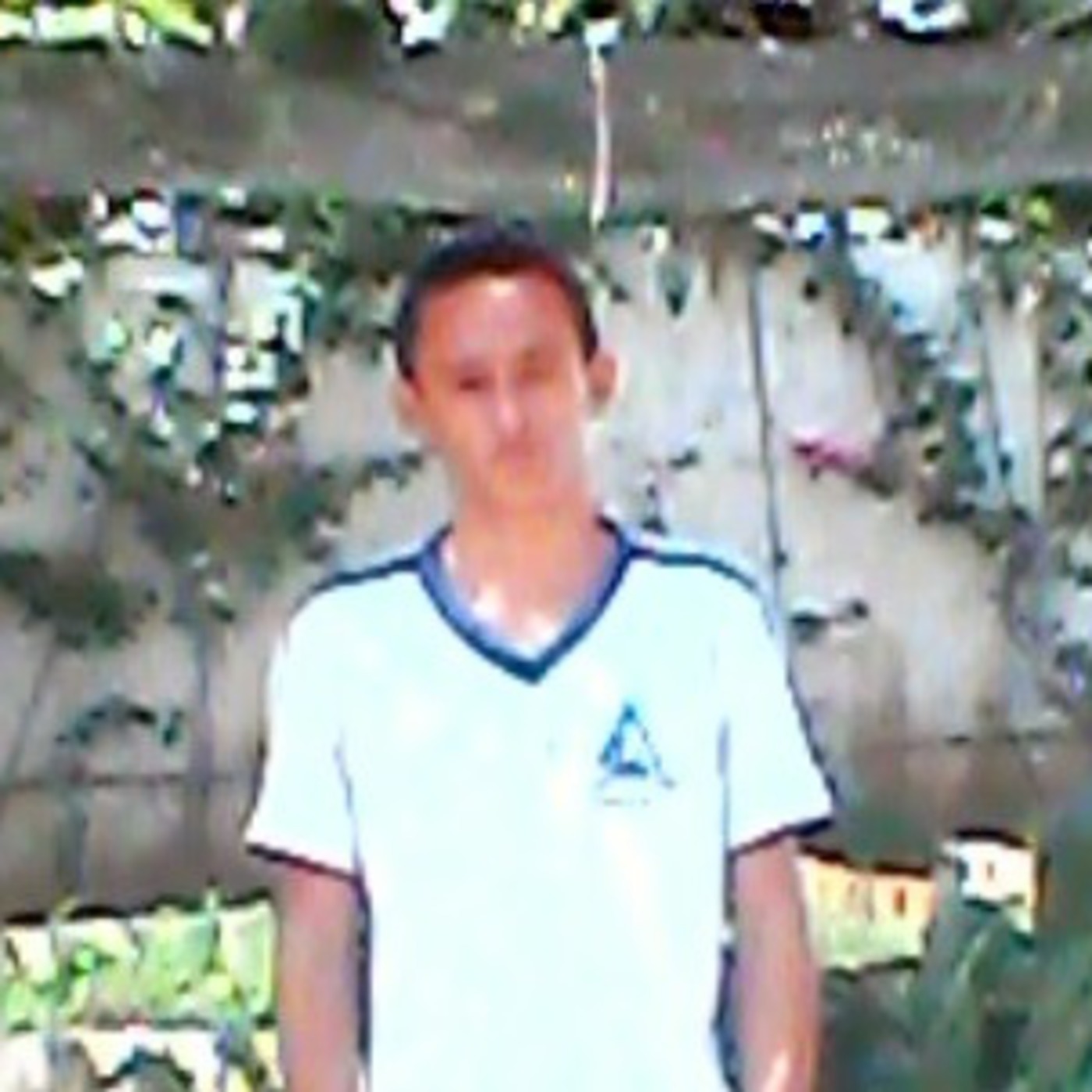 EEFM Arsenio Ferreira Maia