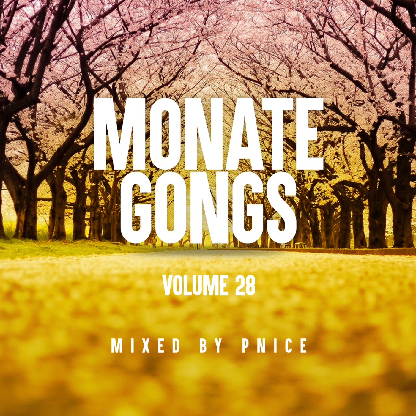 Episode 4: Monate Gongs Vol 28 Mixed by Pnice