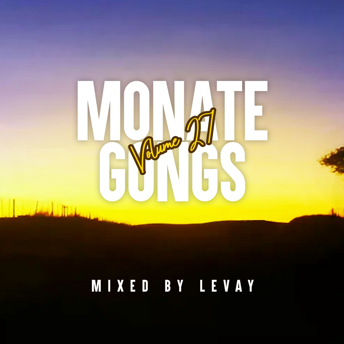 Episode 5: Monate Gongs Vol 27 Mixed by Levay