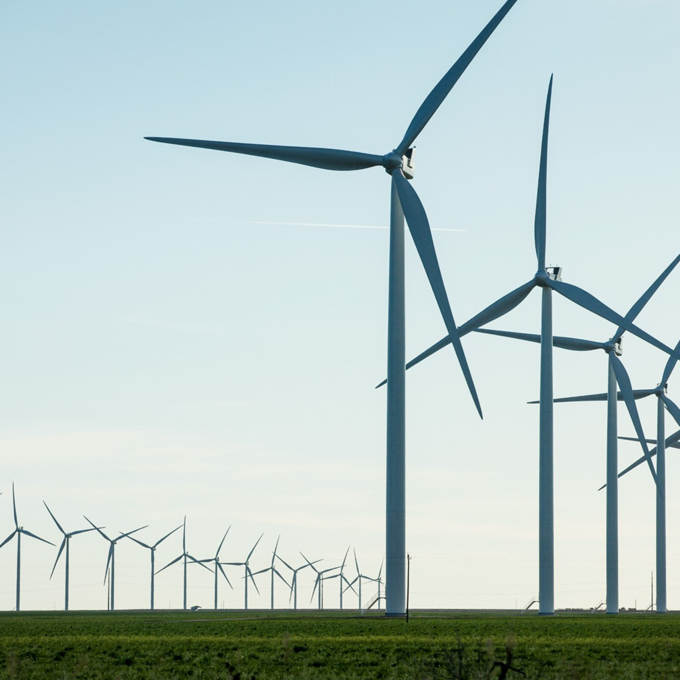 For A Green Future