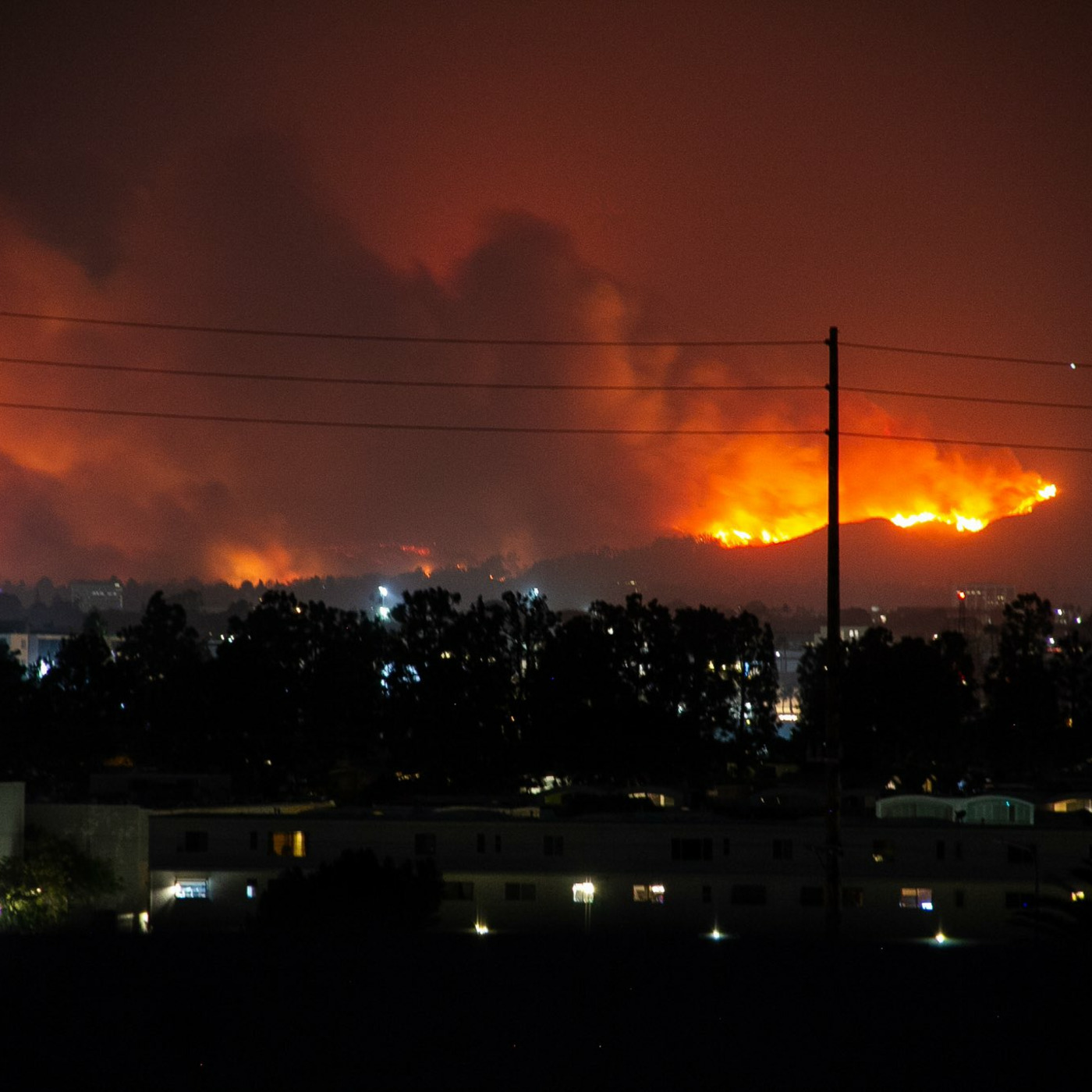 For A Green Future: Fire Storming the Palisades! 011225 Episode 307