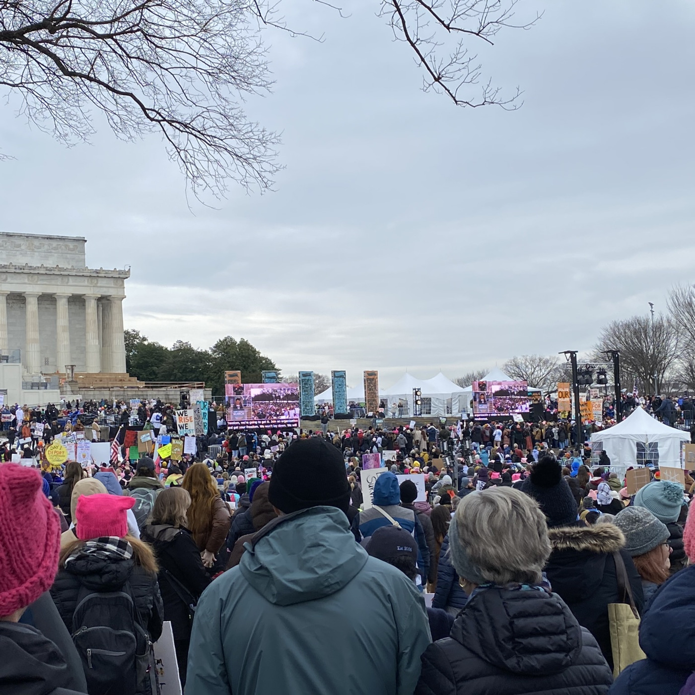 For A Green Future: People's March in DC! 011925 Episode 308