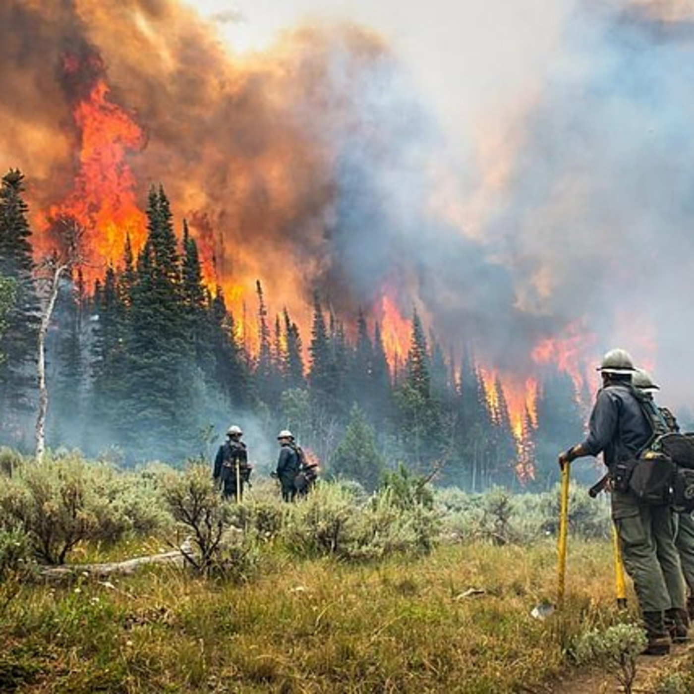 For A Green Future: Heat and Flames! Hotshots 062925 Episode 330