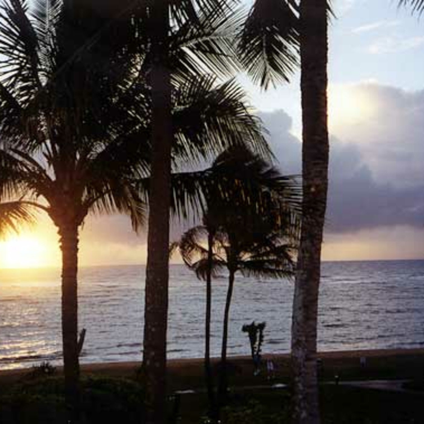 For A Green Future: Sanity in Hawai'i! Episode 363 Feb. 15, 2026