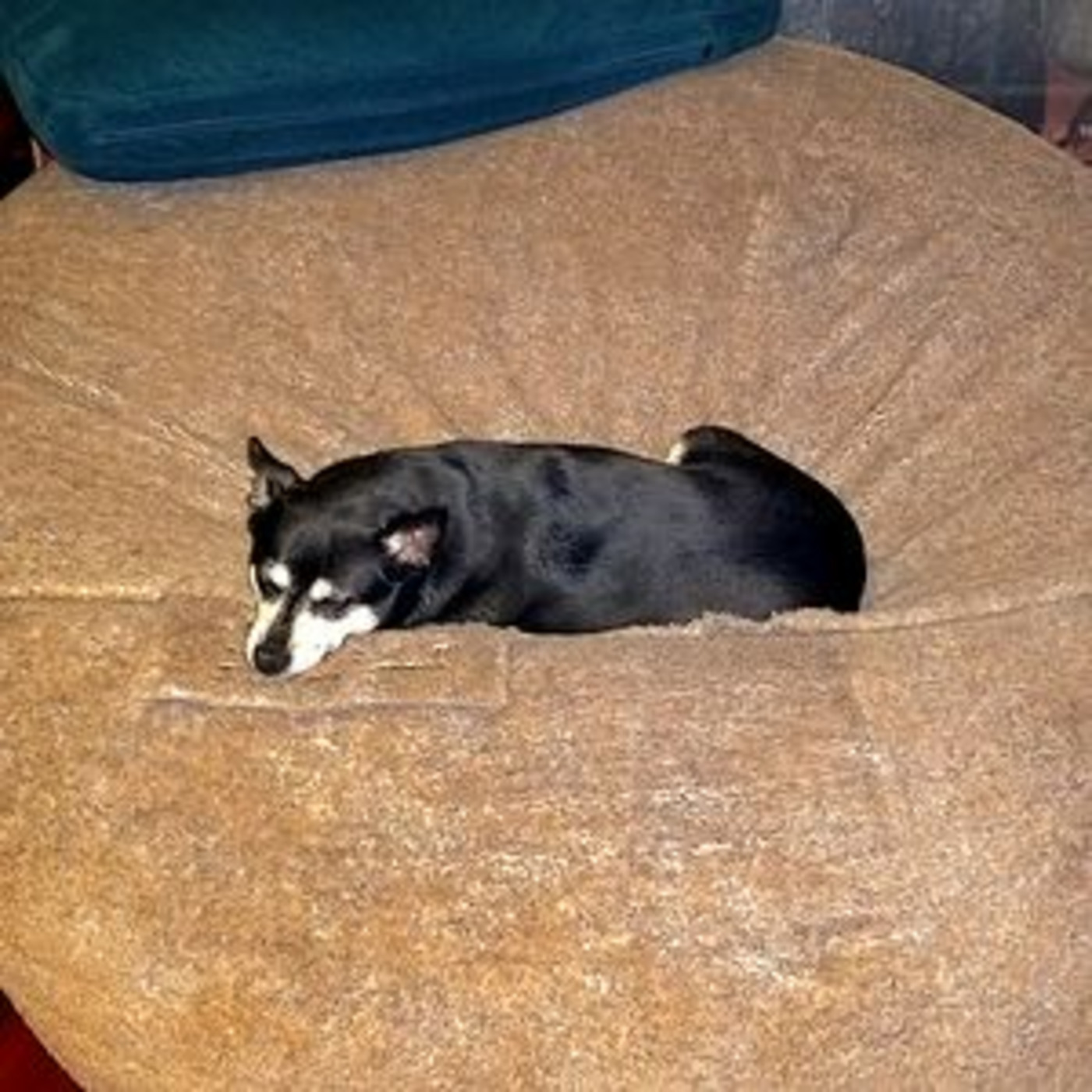 RONS Podcast
