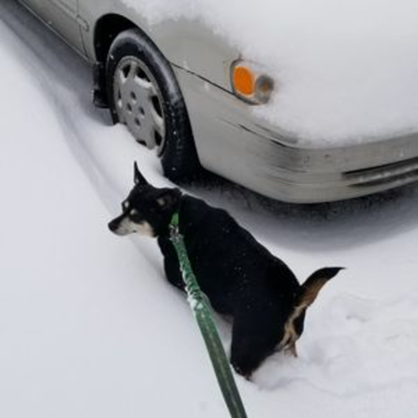 RONS Podcast