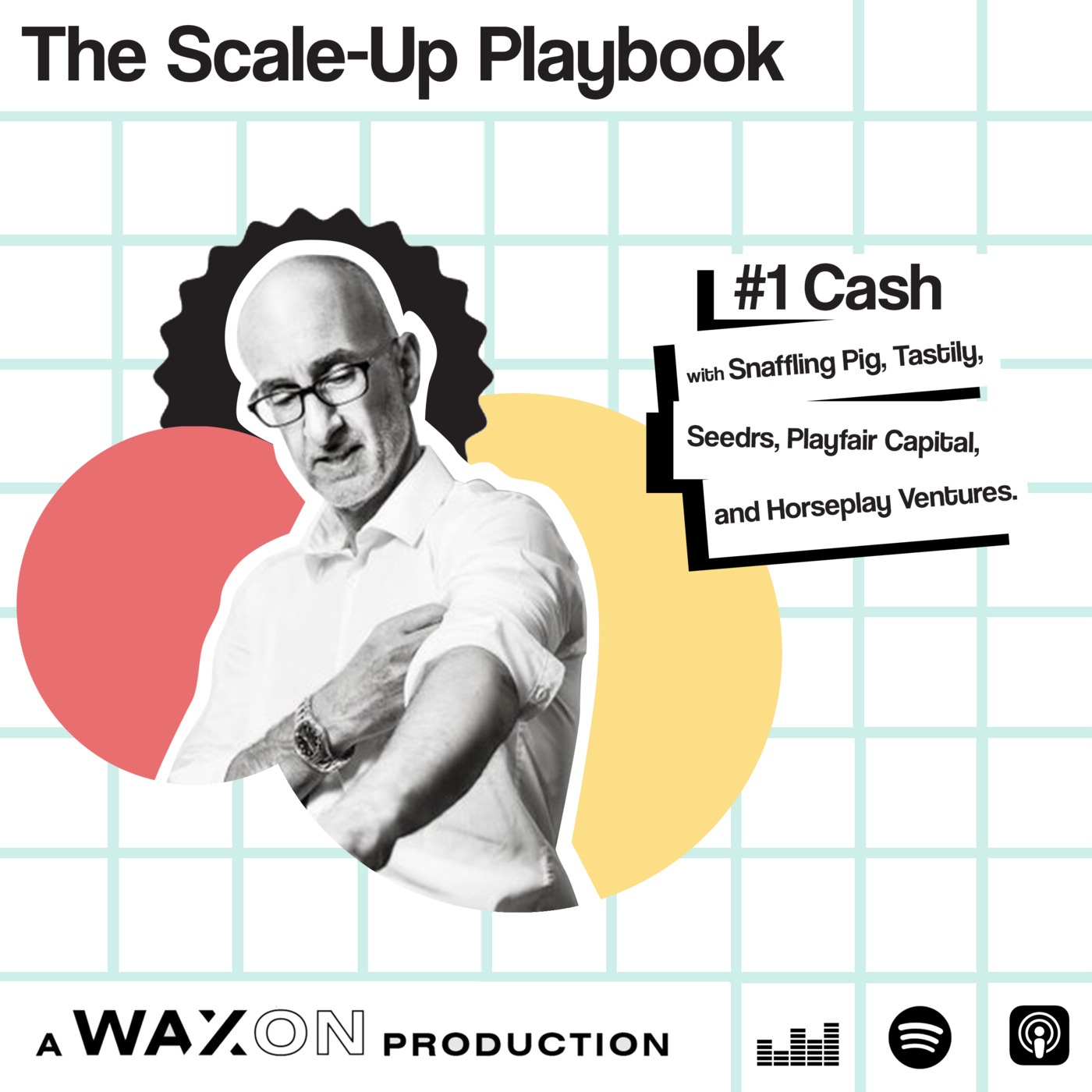 The Scale Up Playbook