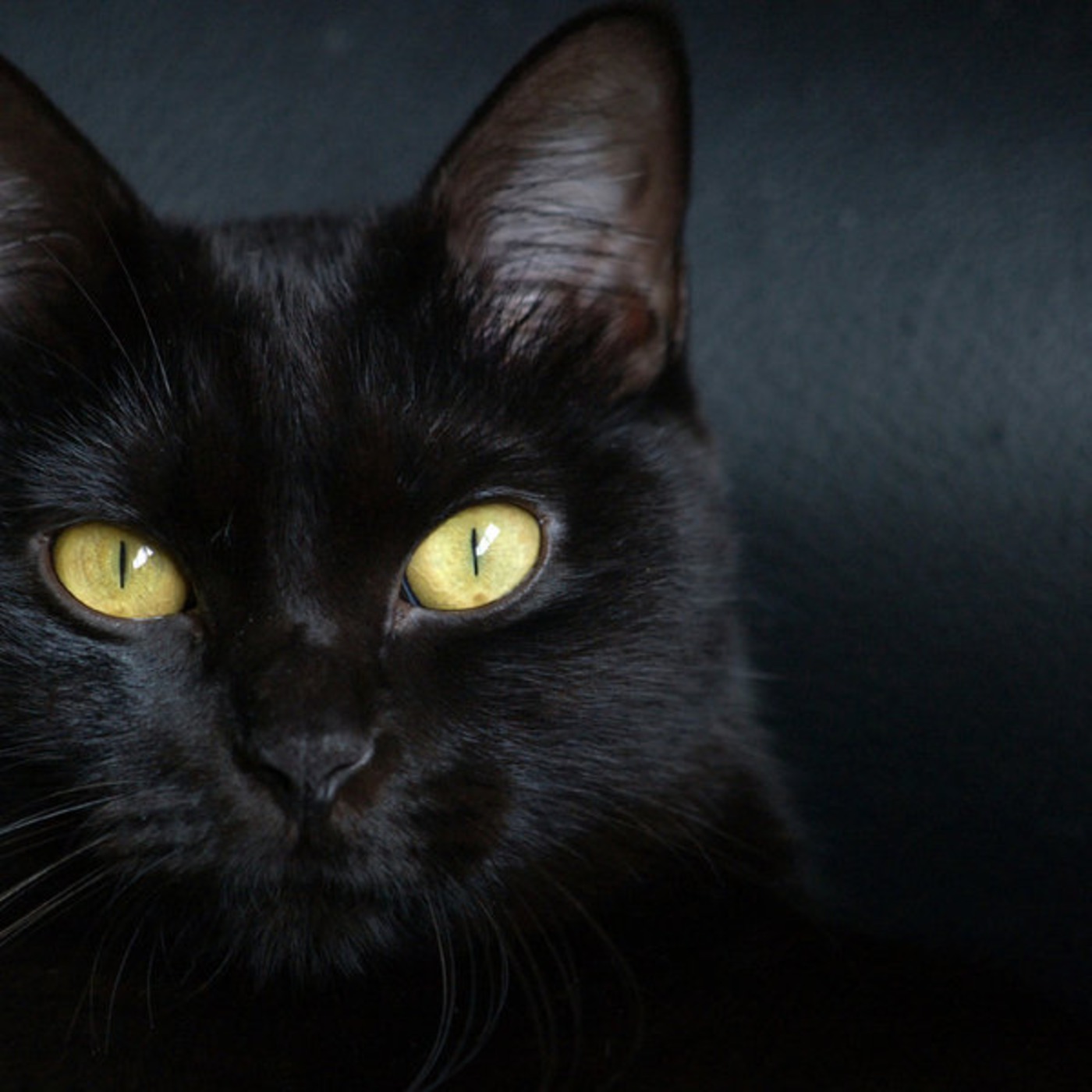 El podcast de El Gran Vidrio