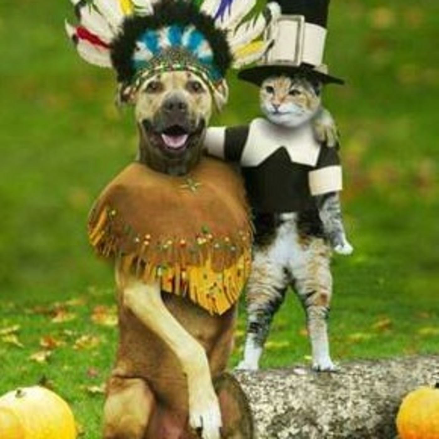 Episode 11 The worst Thanksgiving